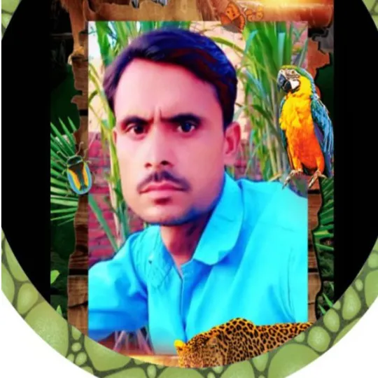 अनिलकुमार Kashyap