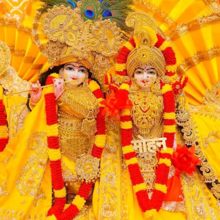 Daksh Prajapati