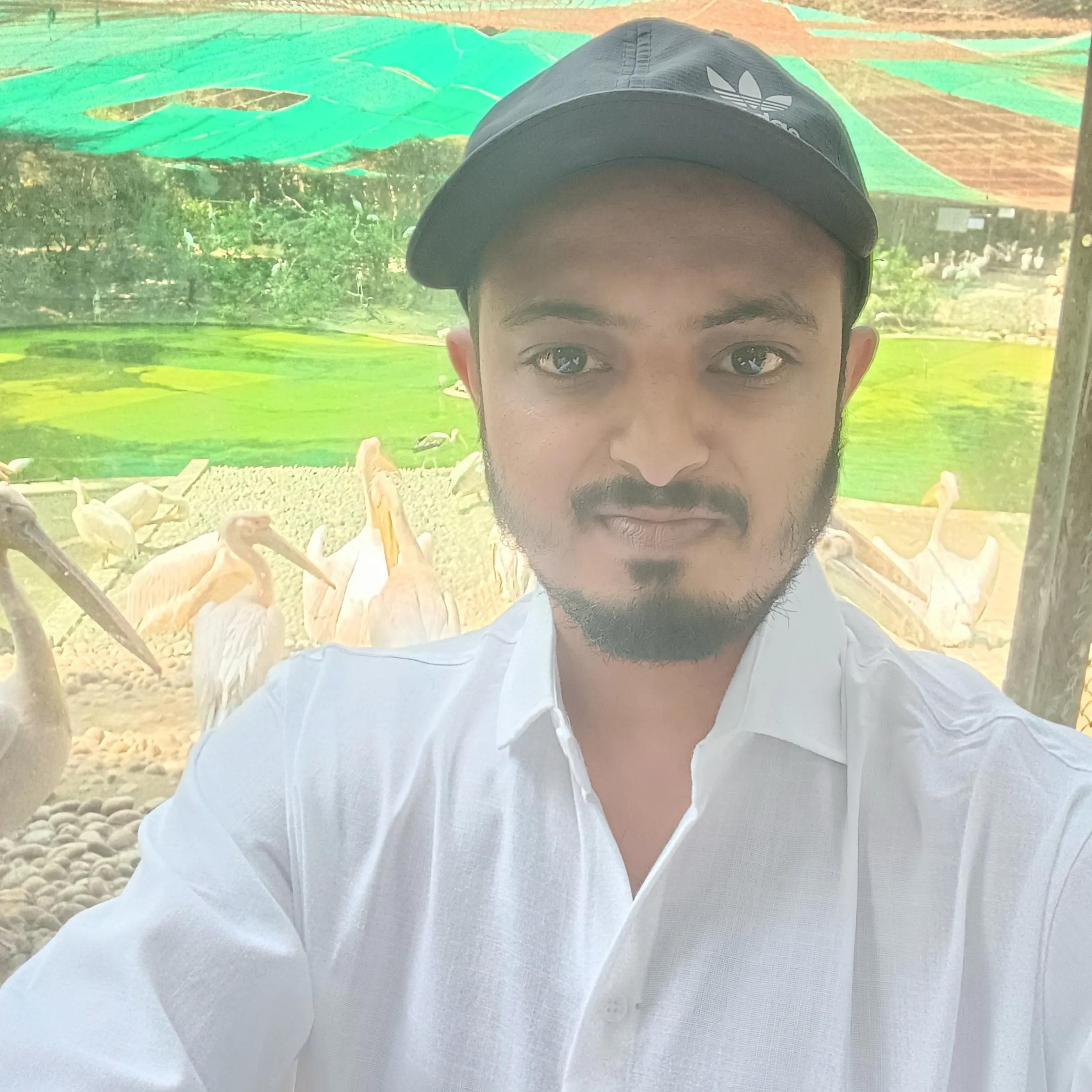 Ajay Kumar Yadav