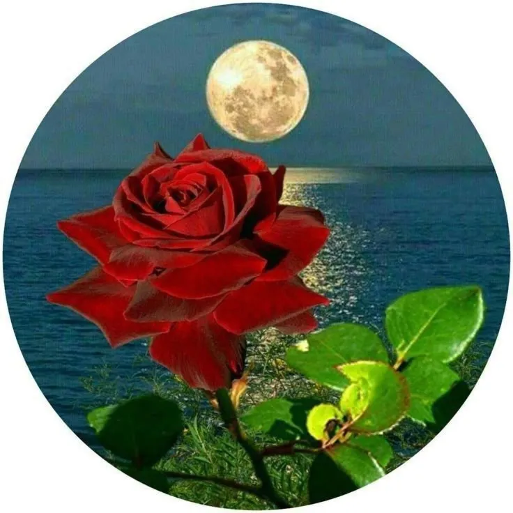 Ashish Kumar