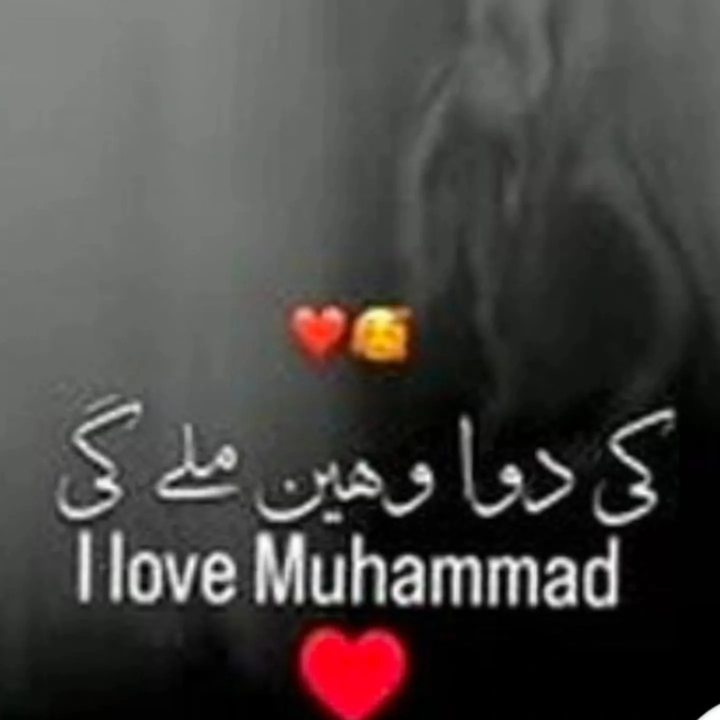 amir mollah