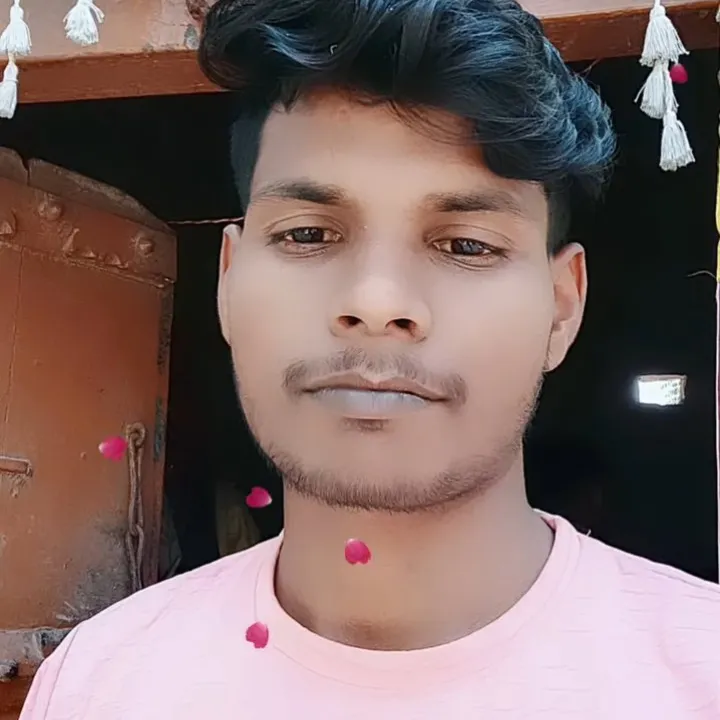 raj Roy