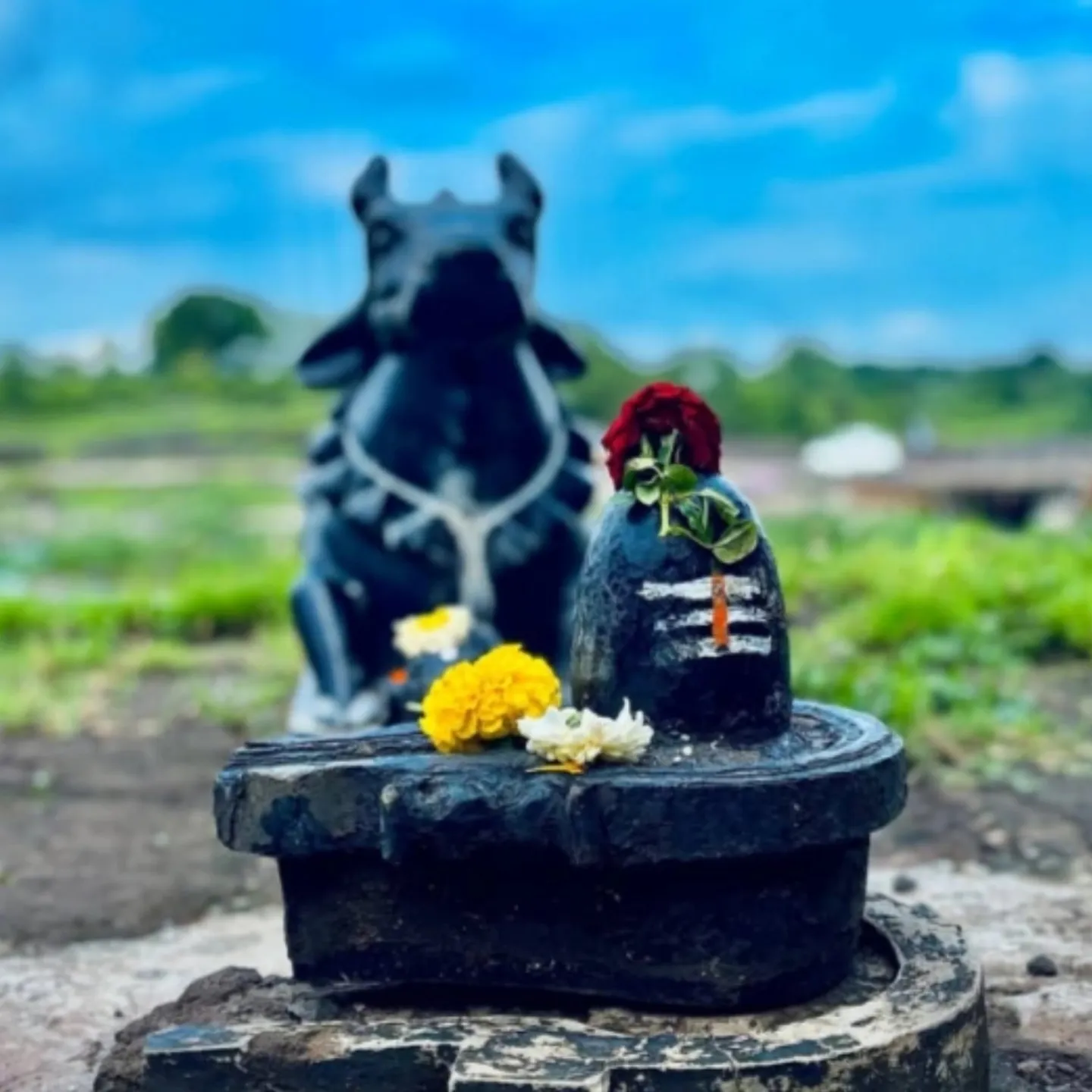 BRIJESH GOSWAMI