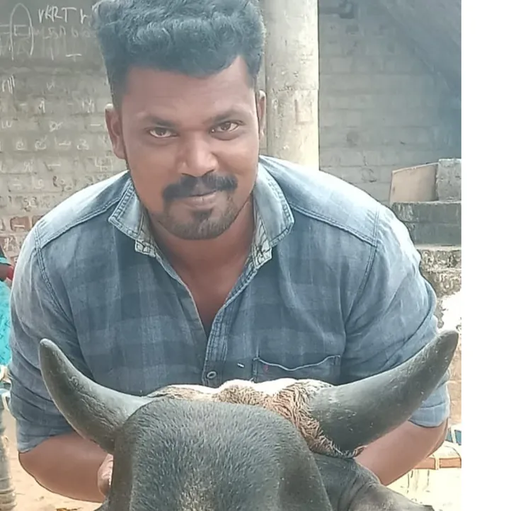 vetri vel