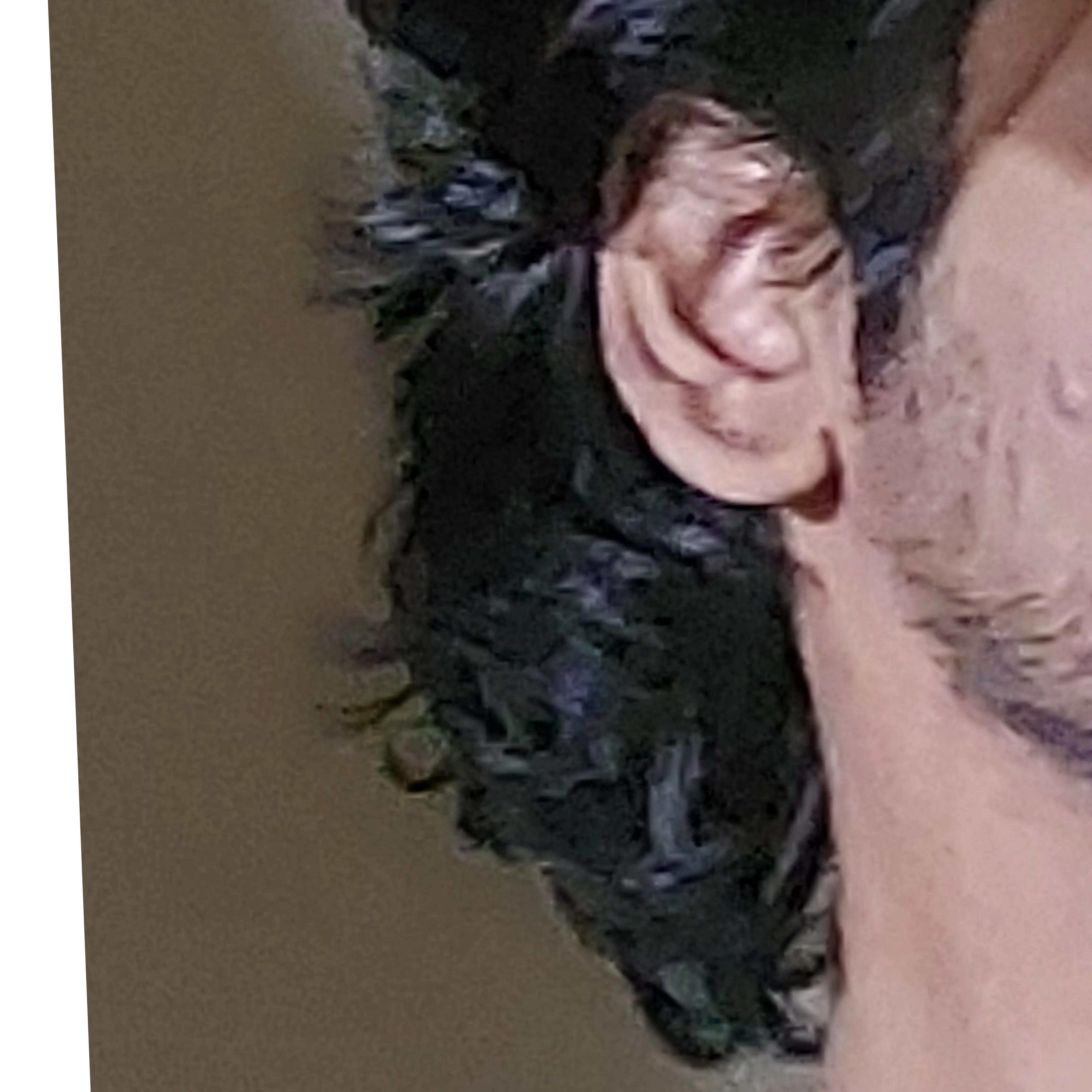 vansh Gaurav