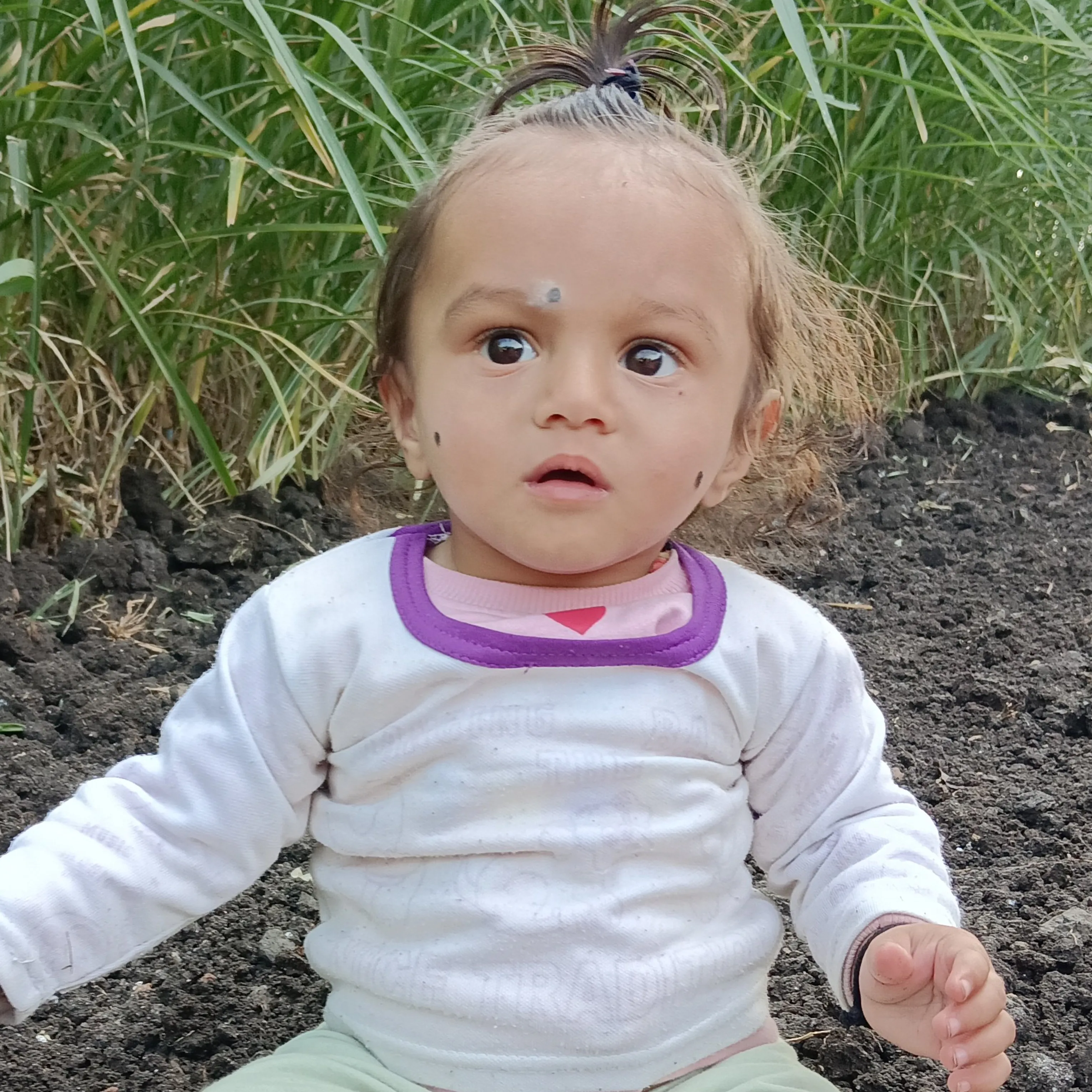 Dharmendra Bilotia