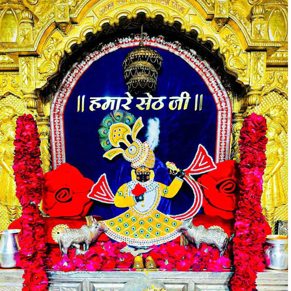 Rathore_Sahab_854 Rathore