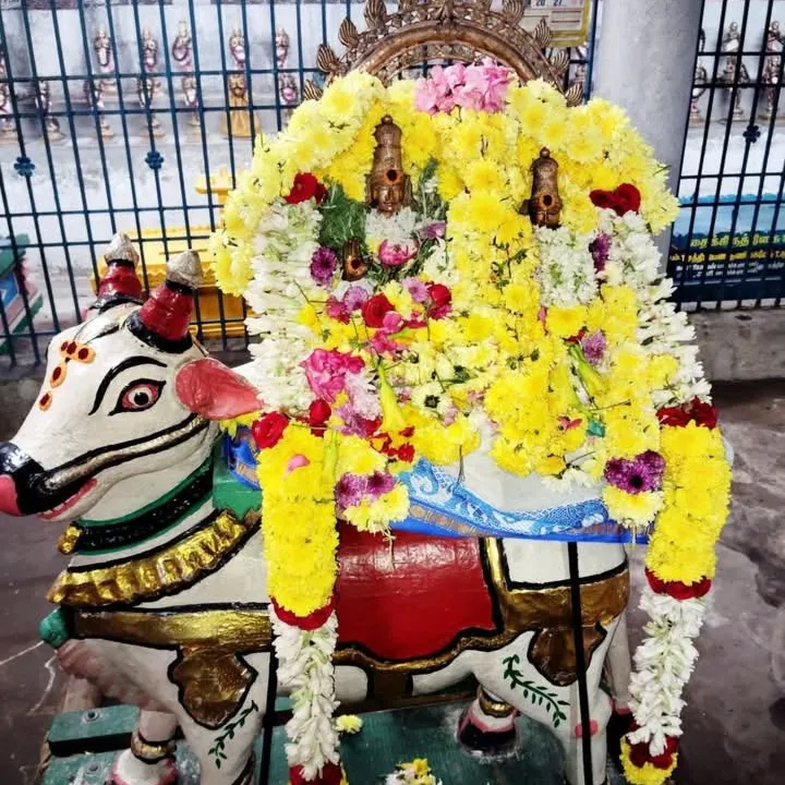 Magi Raj