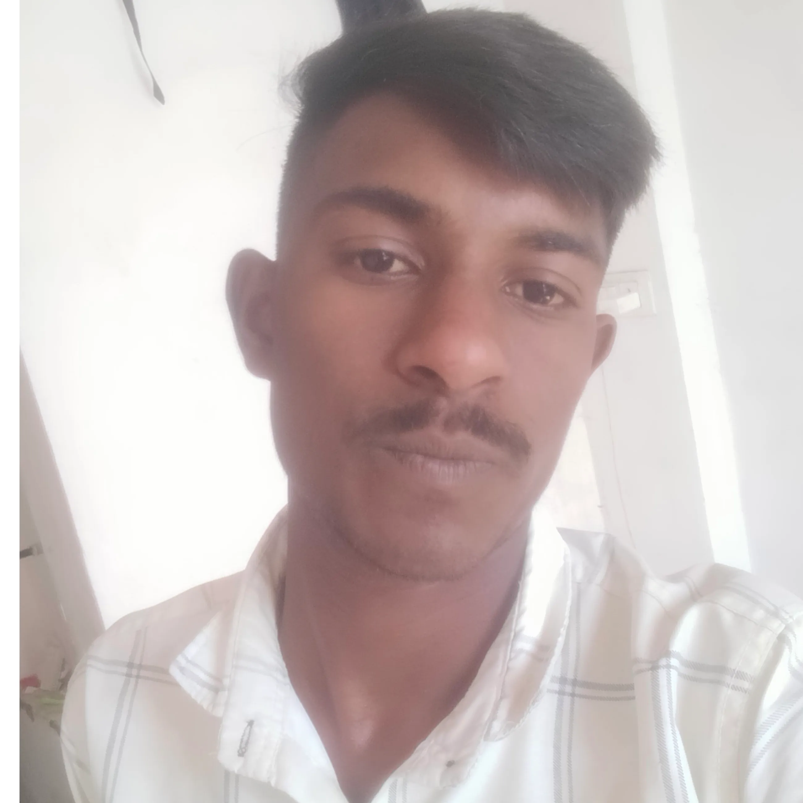 Krishna meena