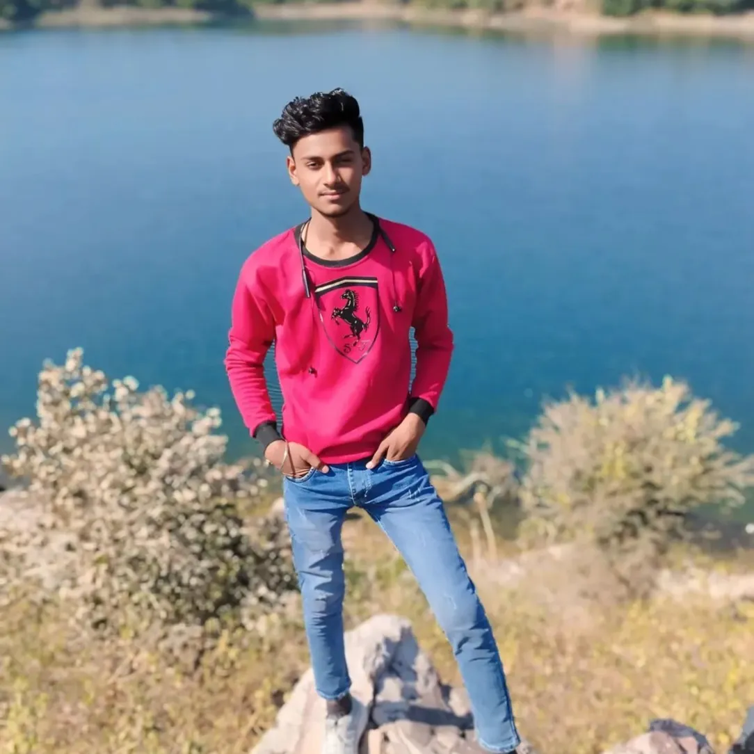 vikram meena