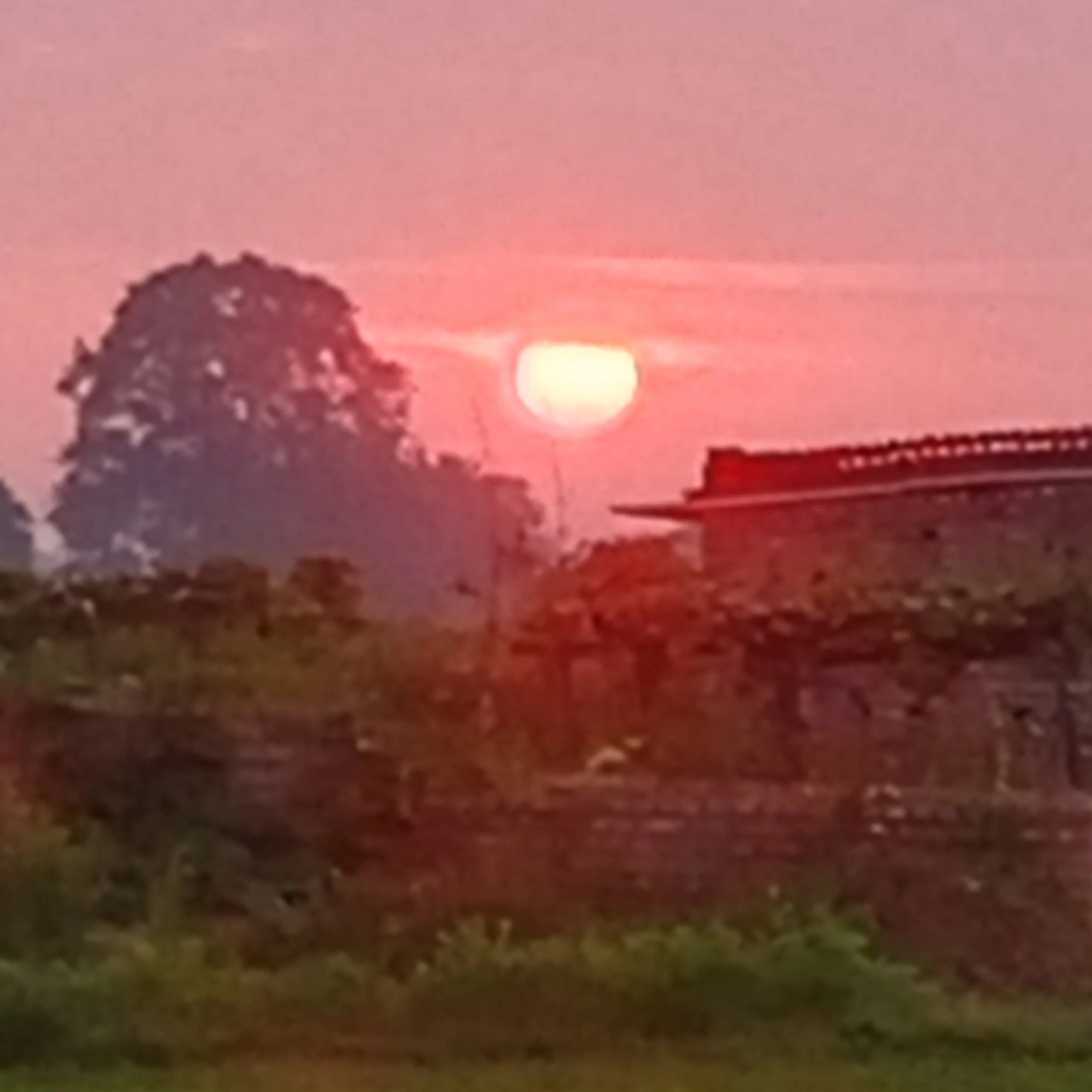 Dulari Kumari