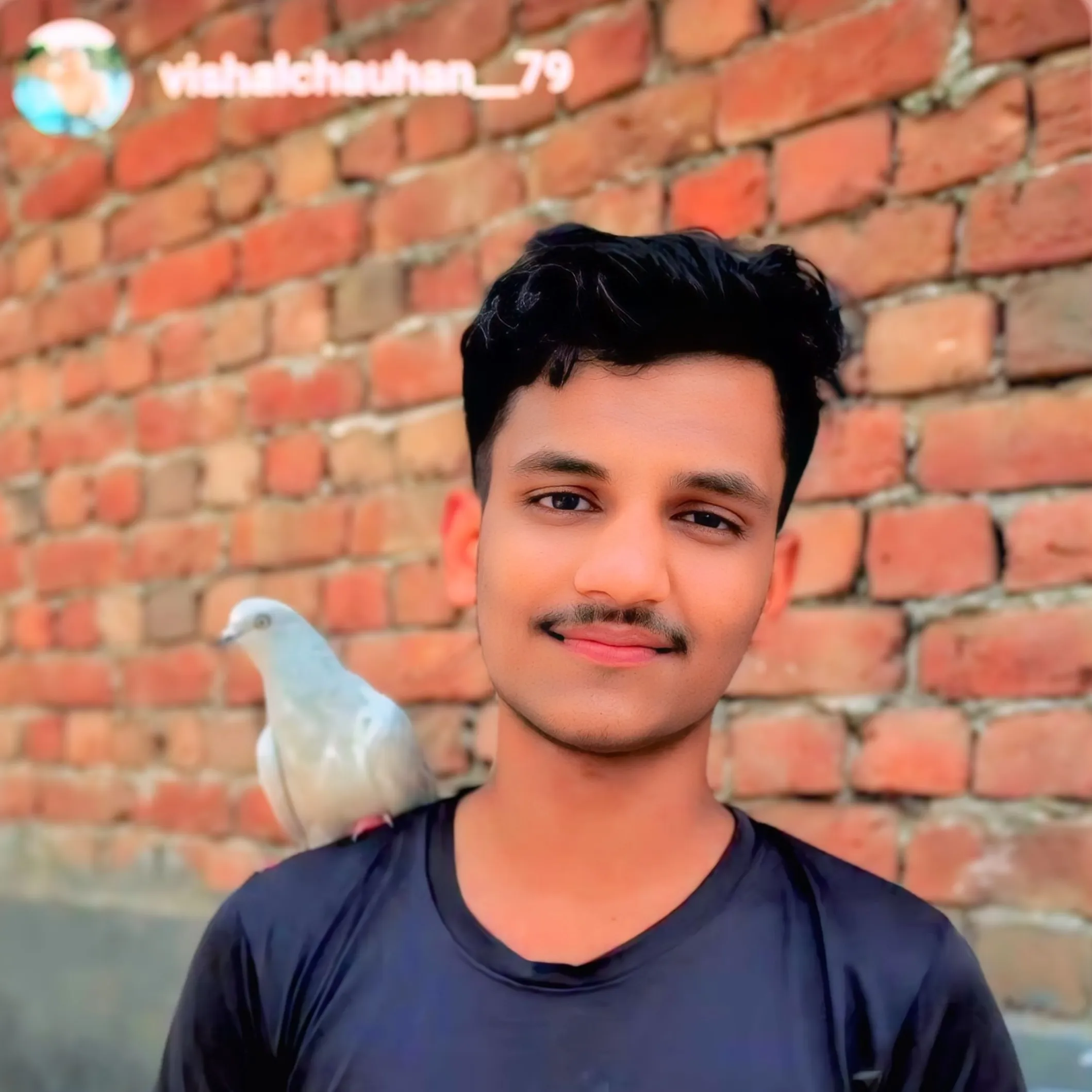 vishal chauhan