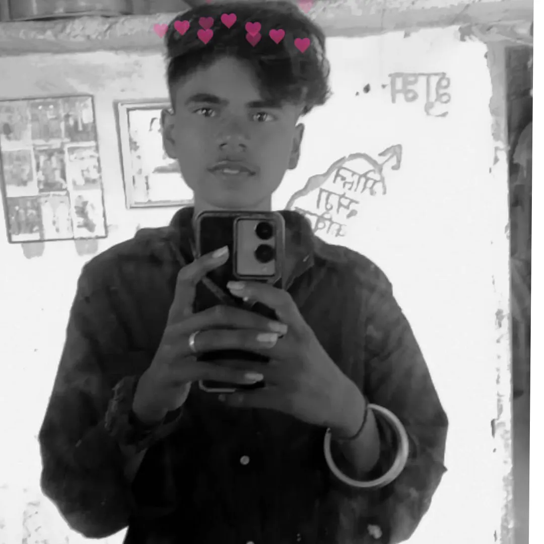 msn dadu