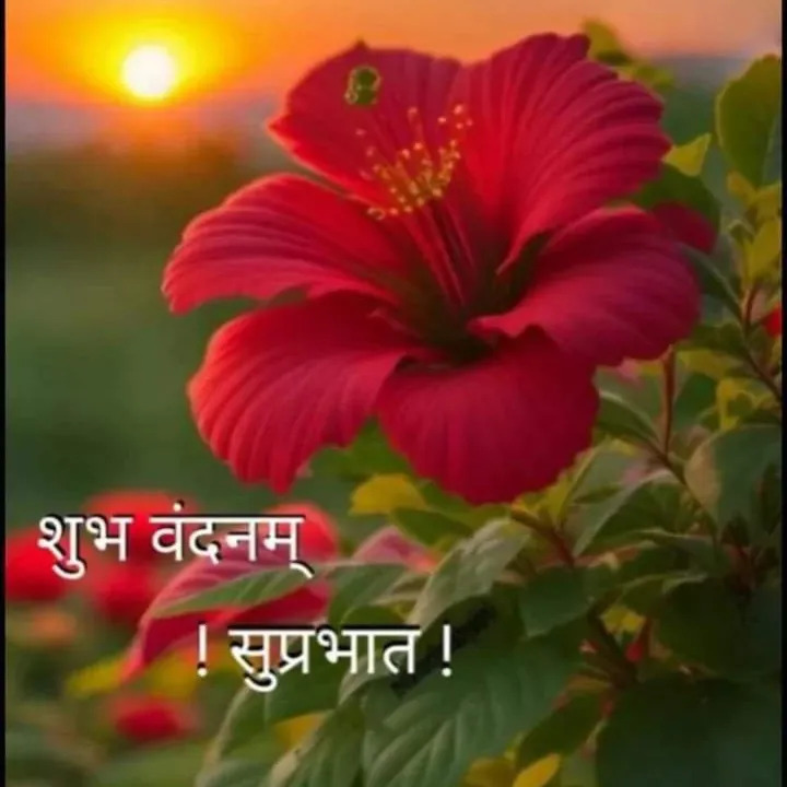 Radhe Radhe