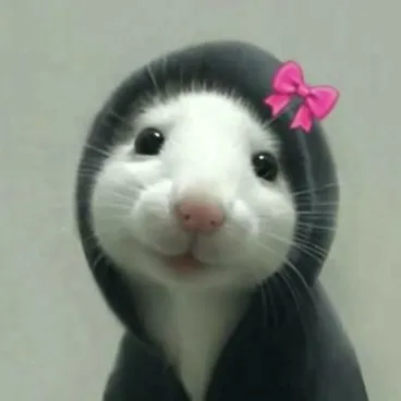achu ofxl