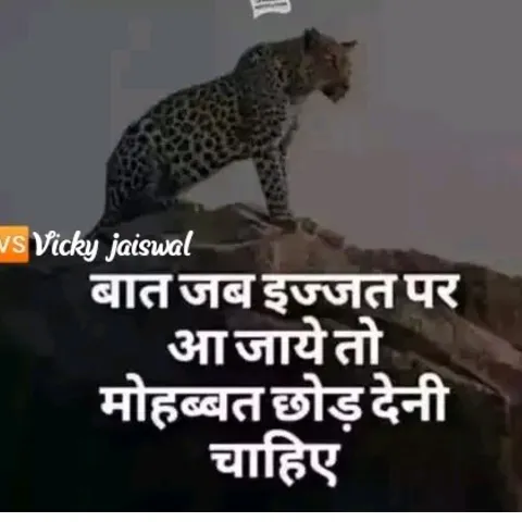 S_M_ SHEKH