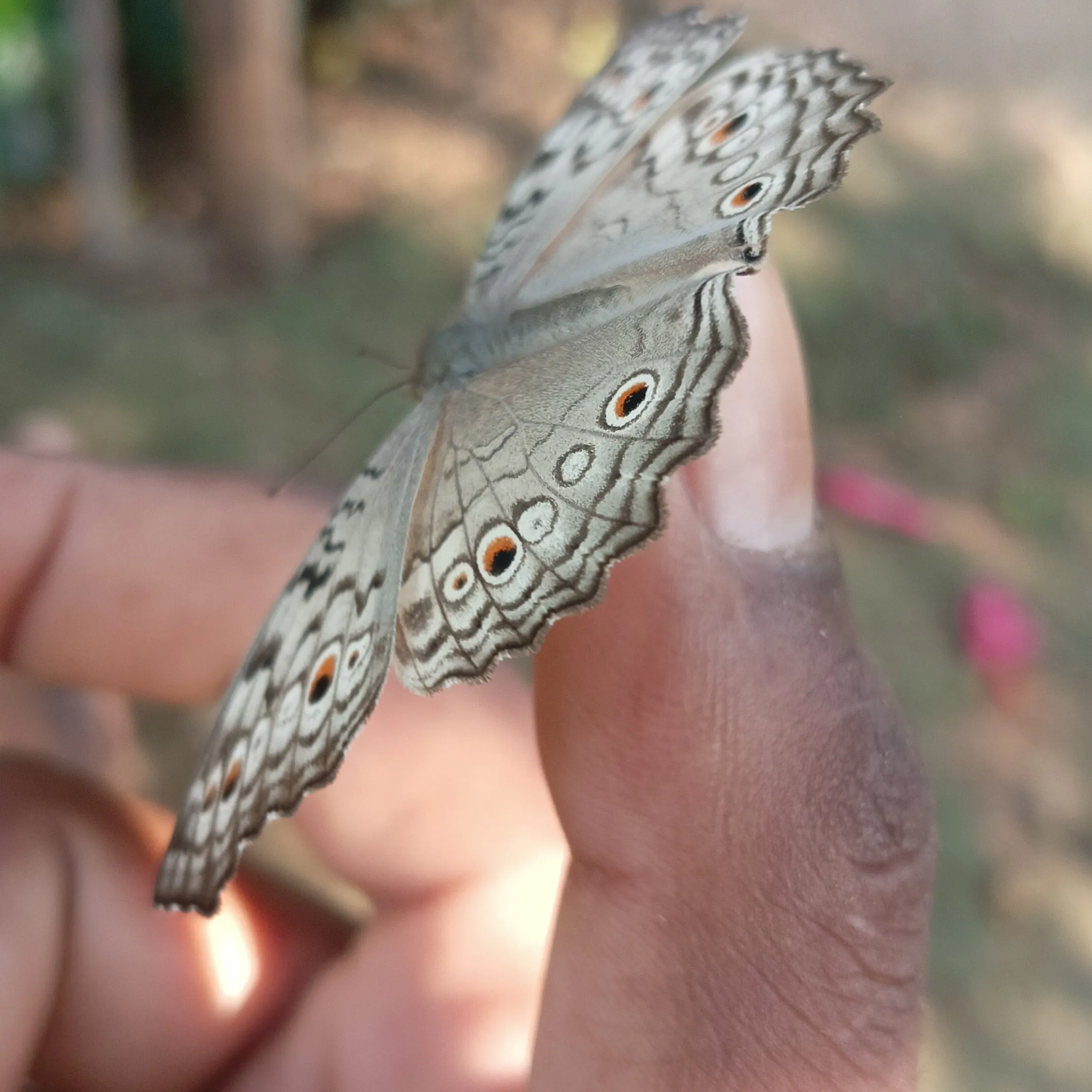 Bhuneshwar yadav