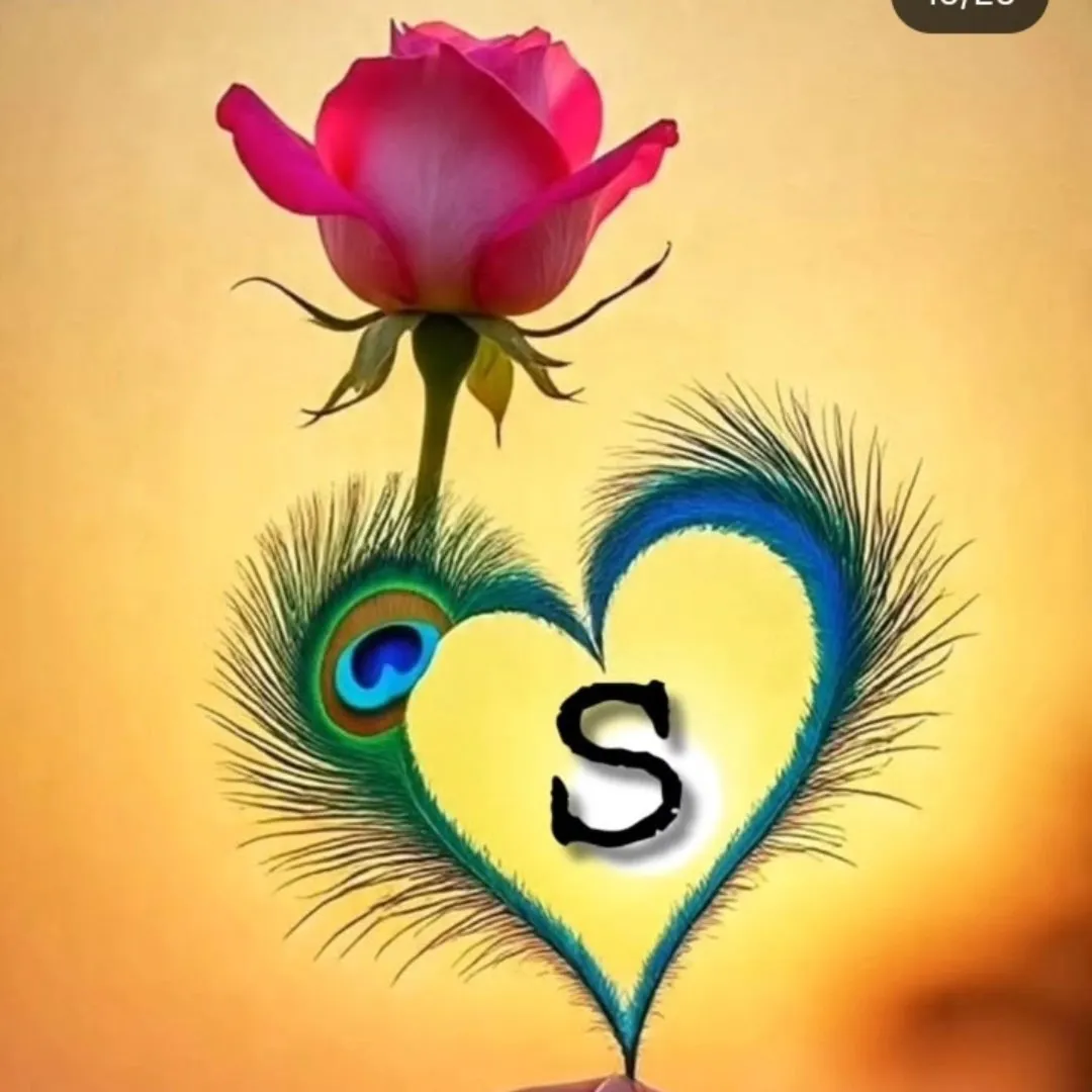 suresh meena