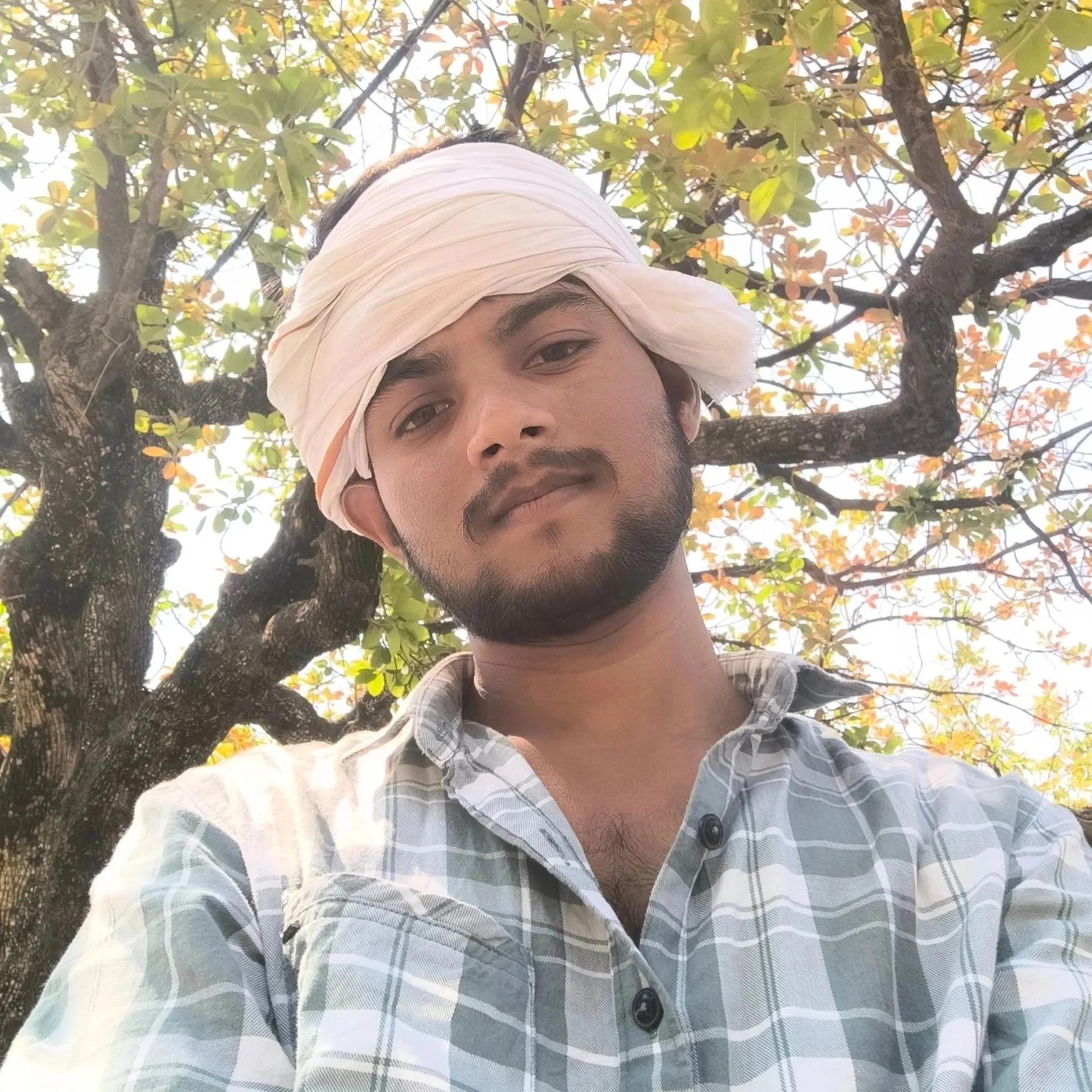 rohit yadav