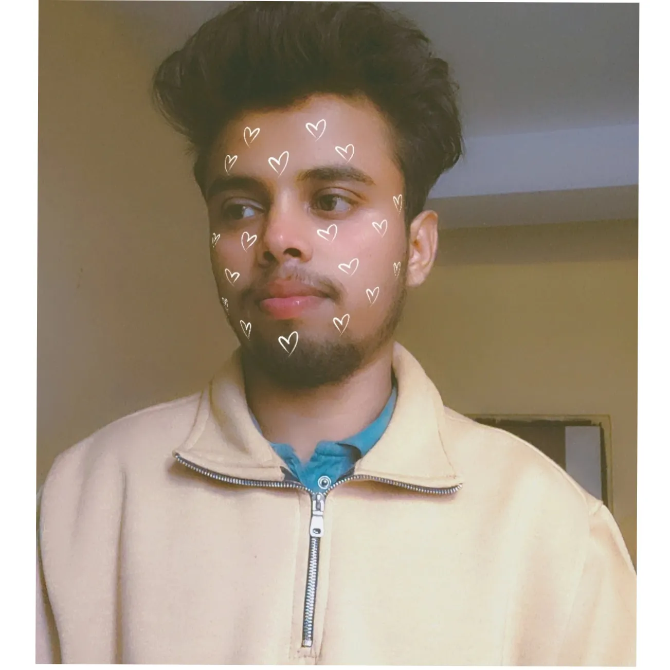 VIKAS PAL