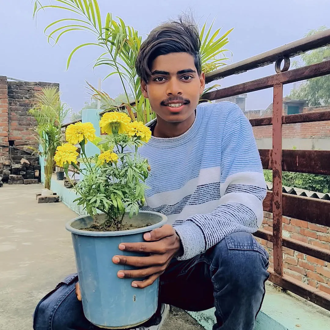 arpit actor