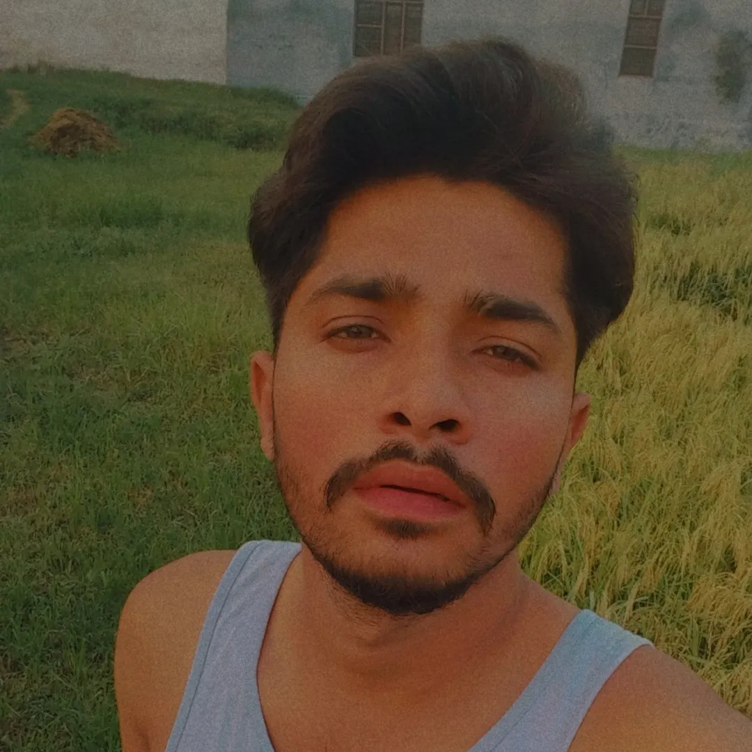 Golden mohit