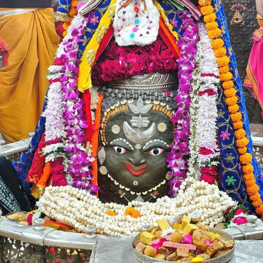 shivam kaushal