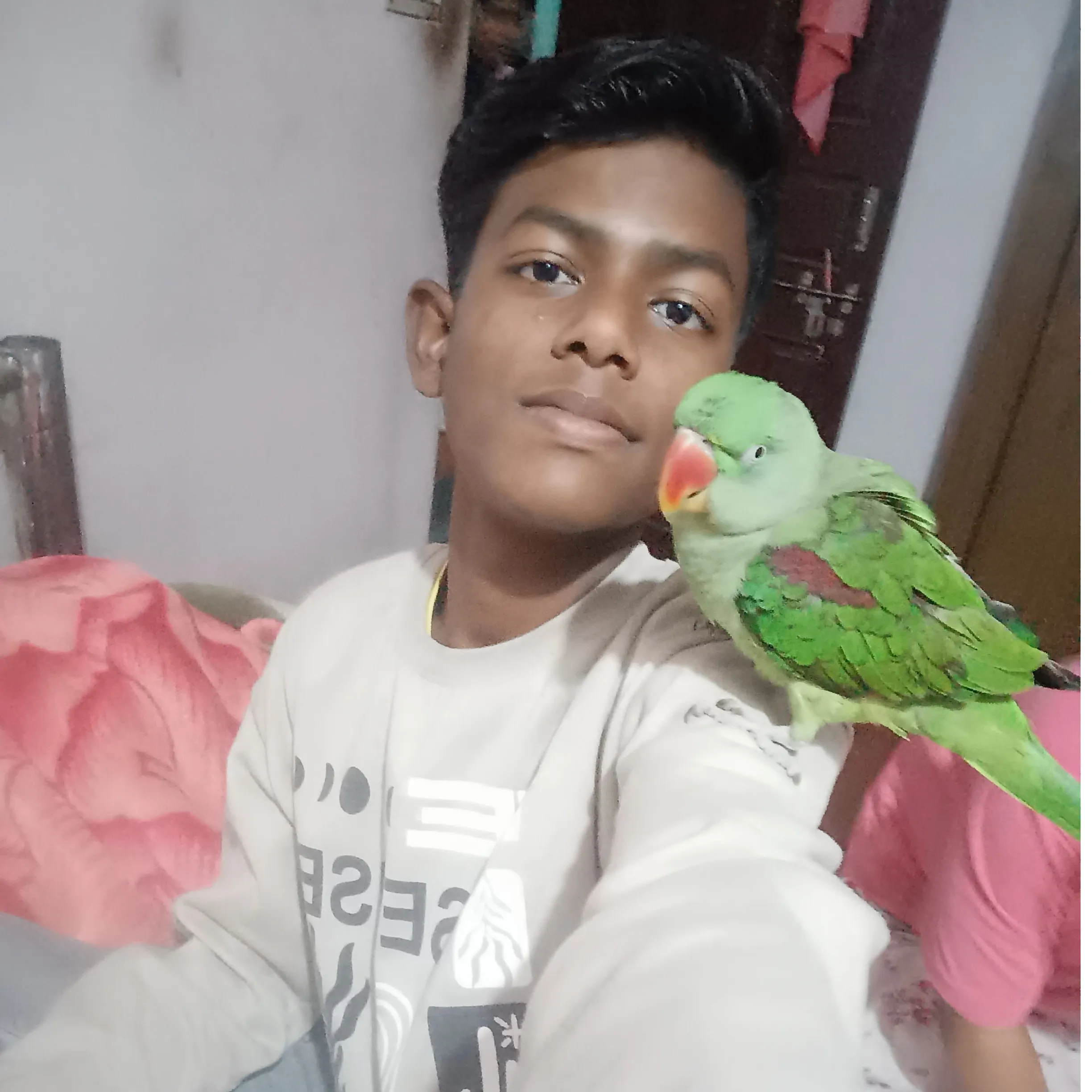 ankit shaw