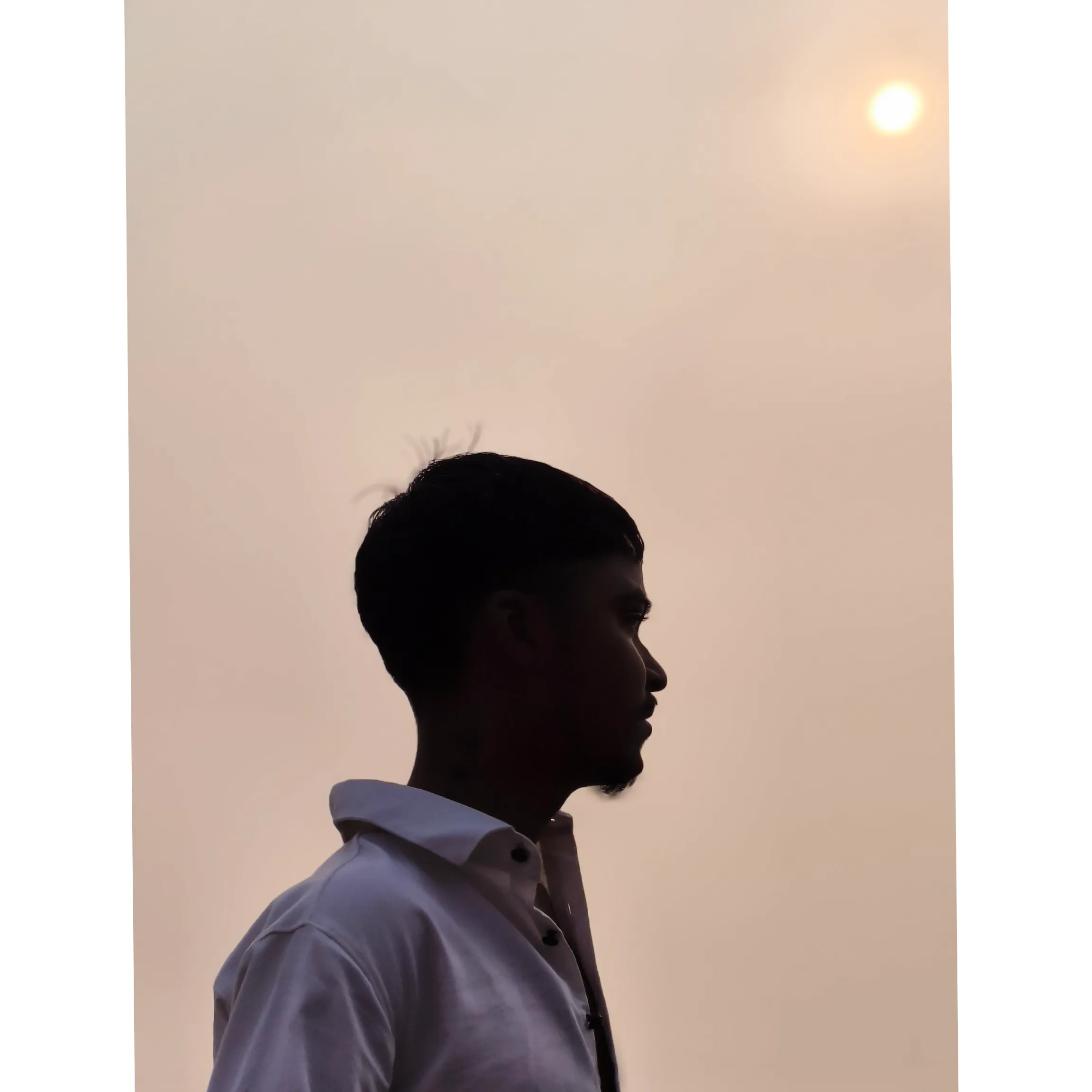 Nikesh Kushwaha