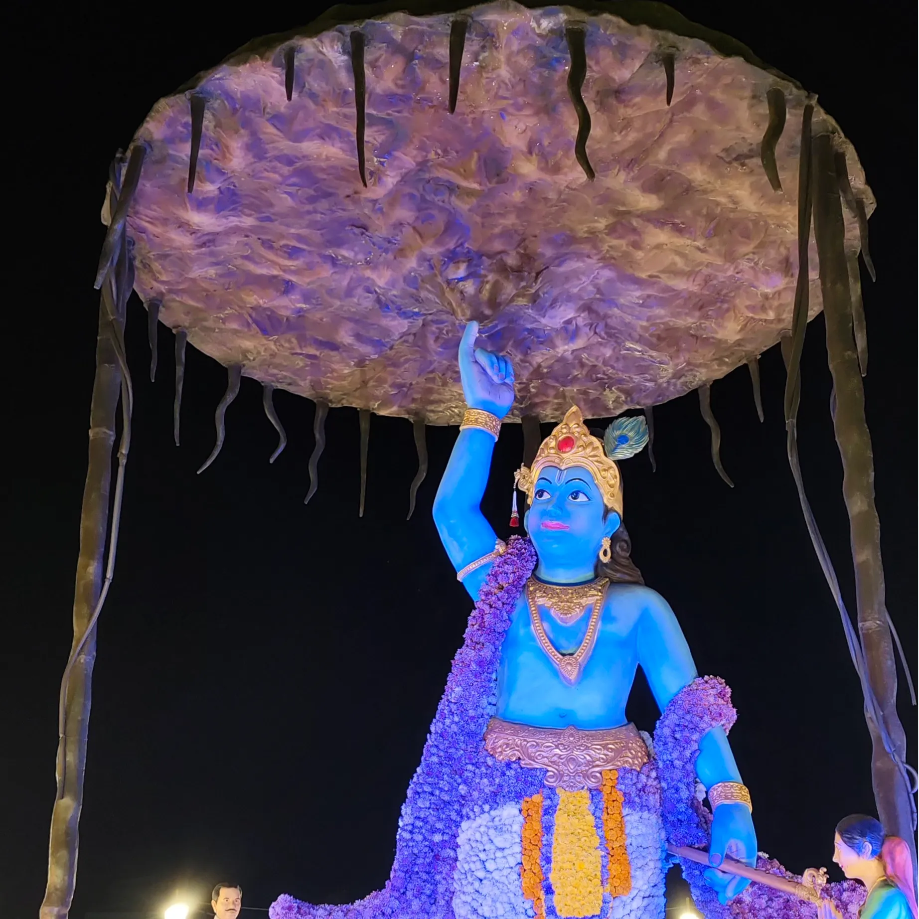 vishal shrimali