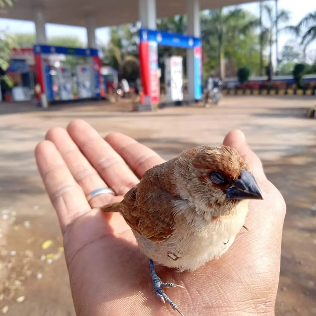 AjayKumar Sahu