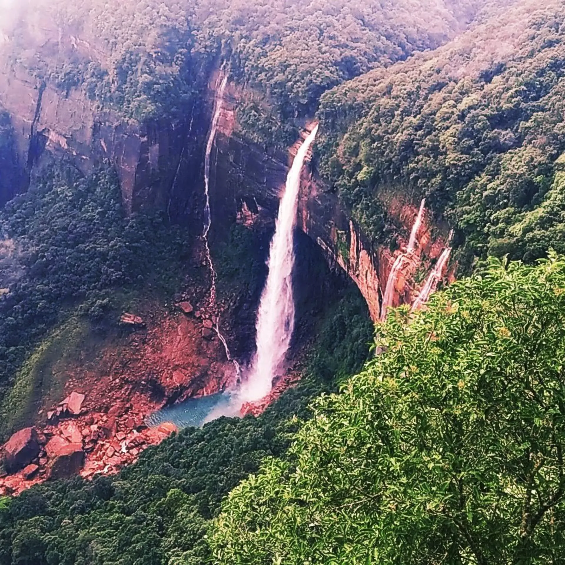 M thapa