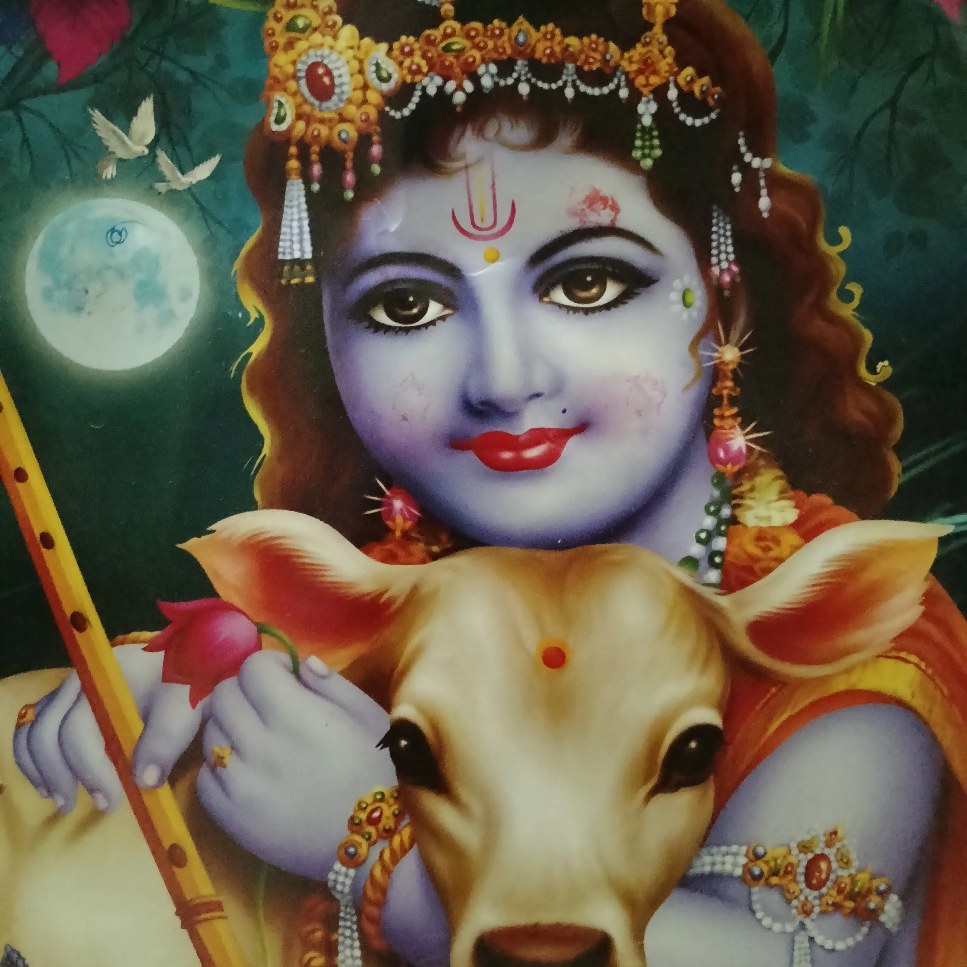 rathodumesh rathodumesh