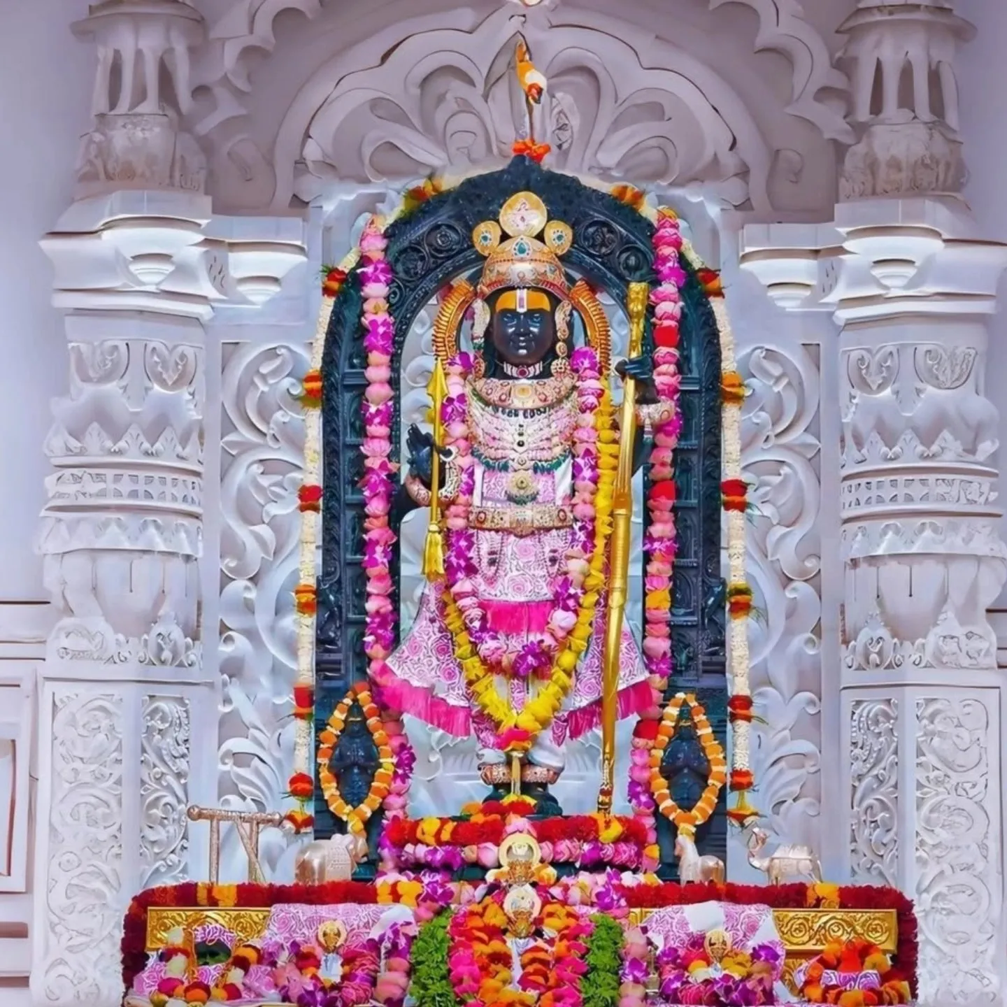 Sahil rawat