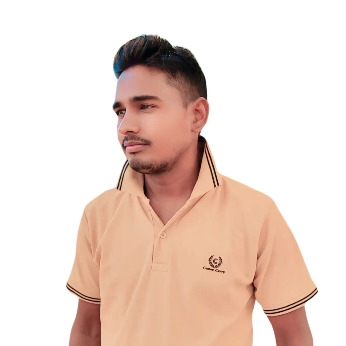 Ramsingh Saini चूलीवाल