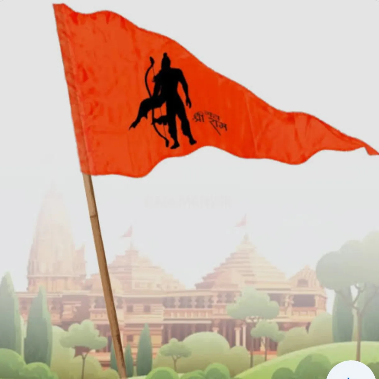 सनातनी हिंदू