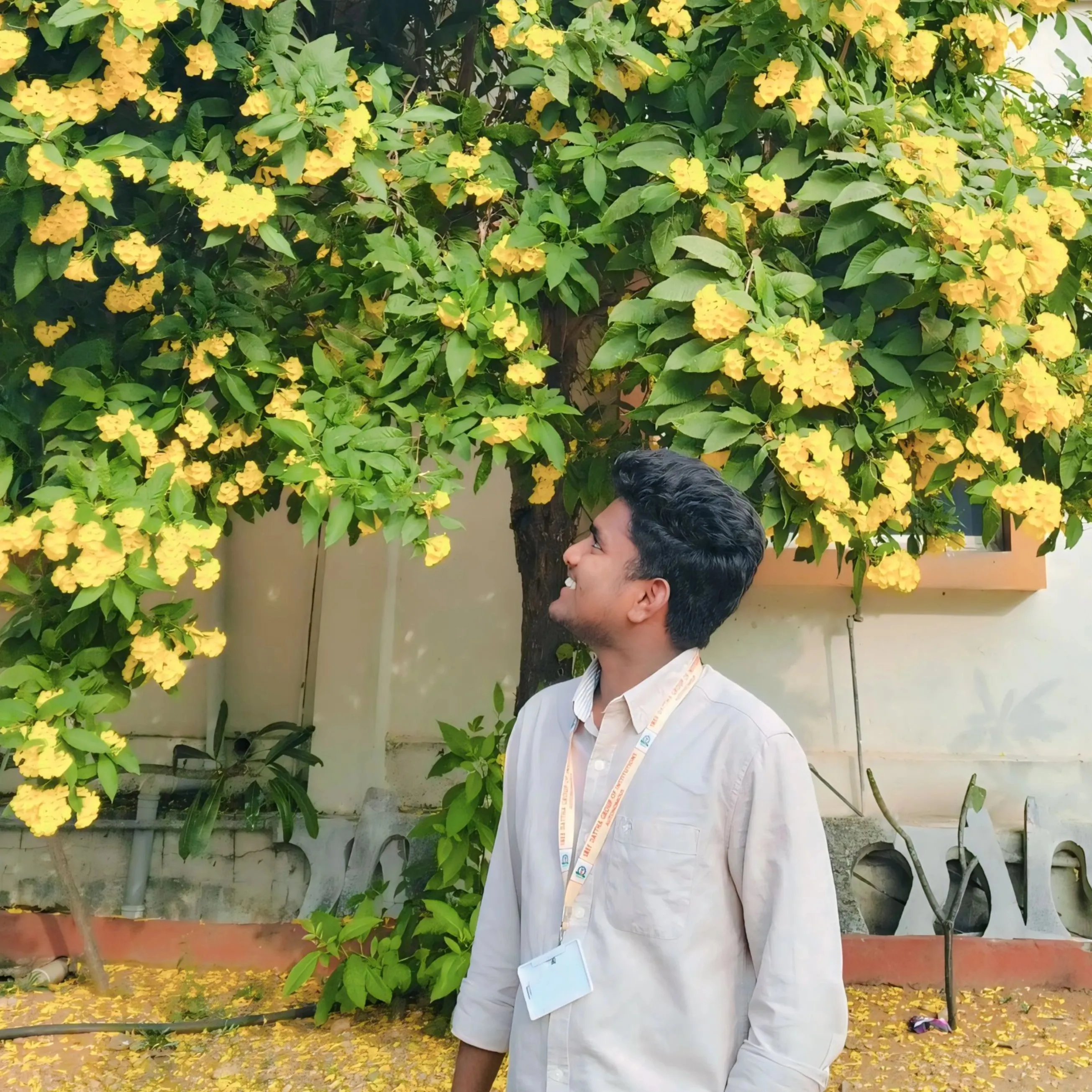 yours bhanu