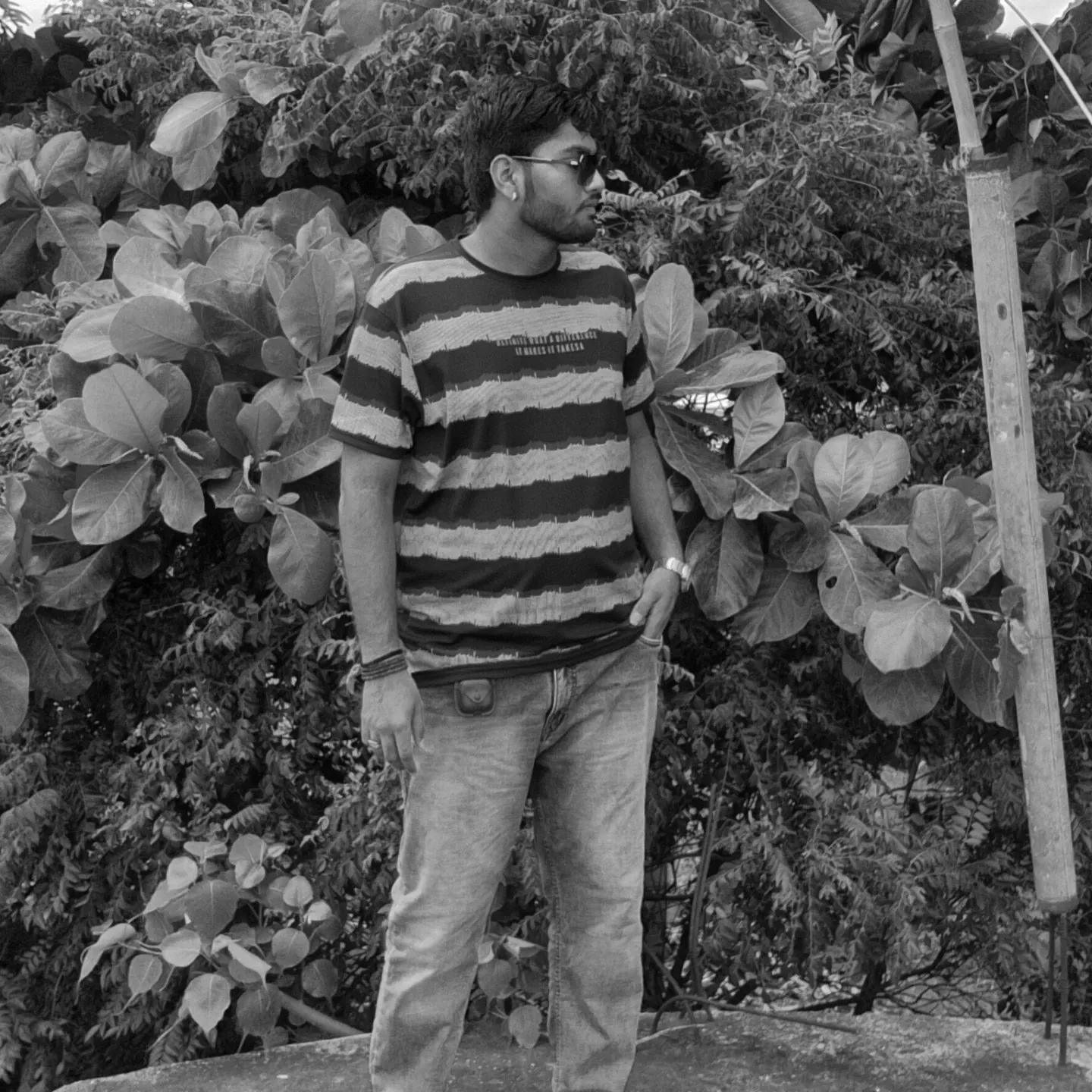 prince shekhda