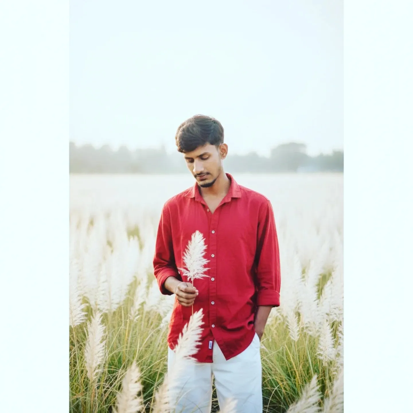 Farman Sk