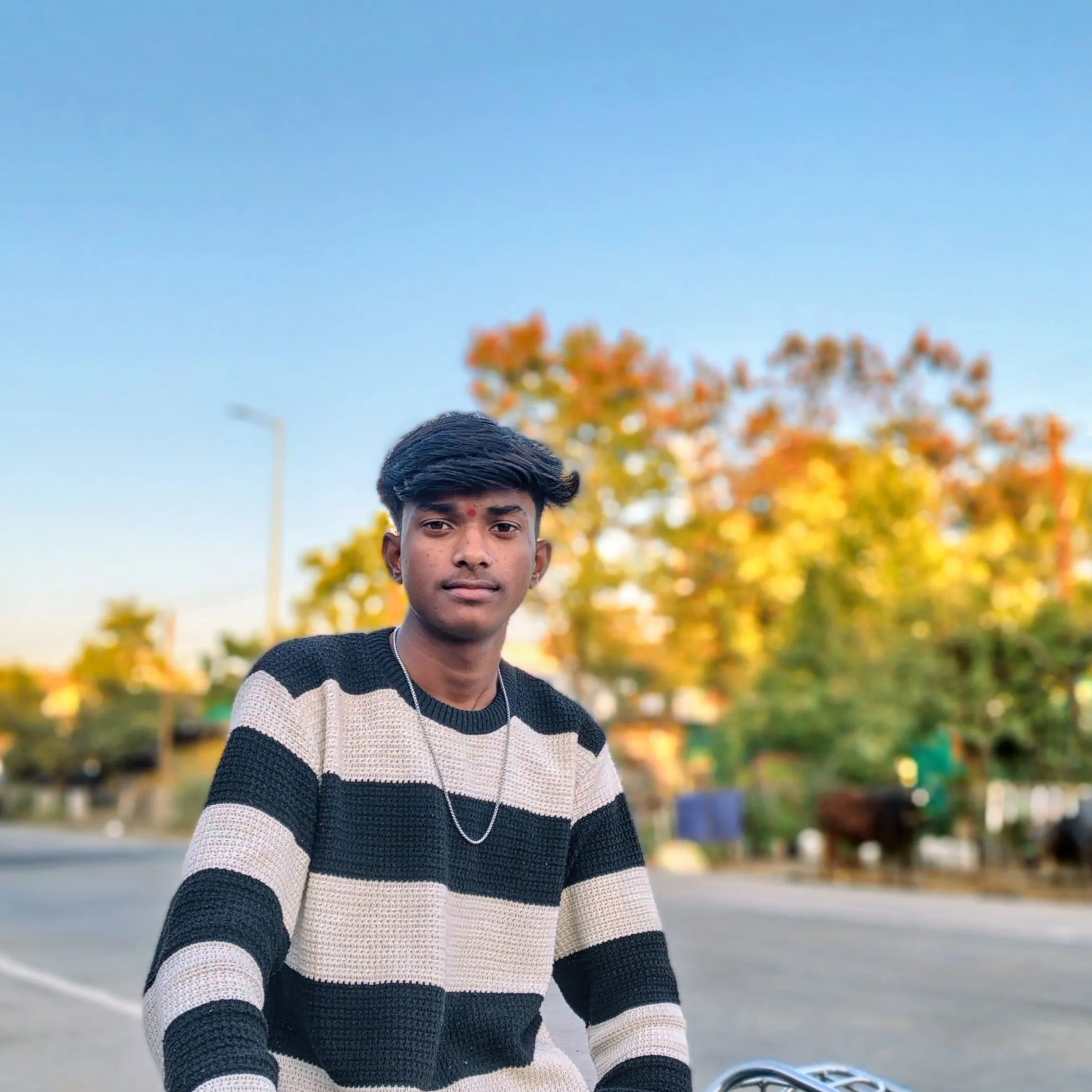 sandeep lovewanshi