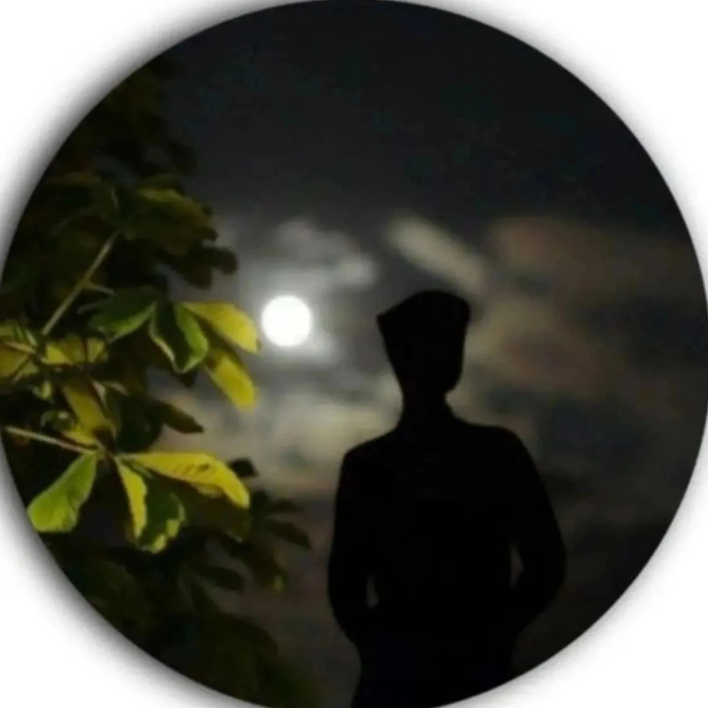 sudh satya