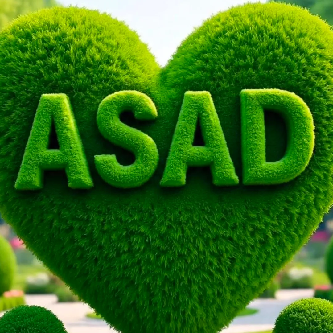 Mr Asad