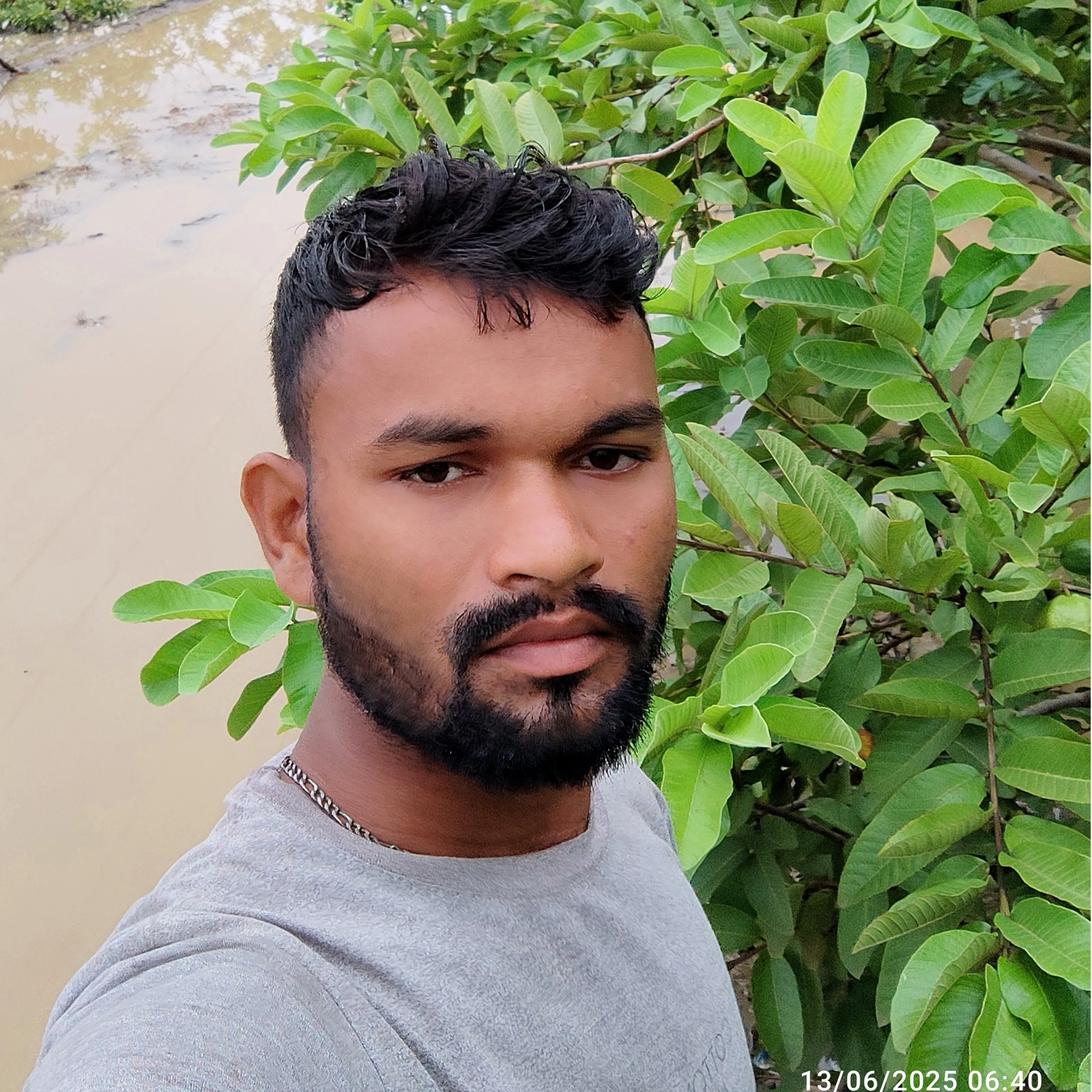 Anvar Dsanni