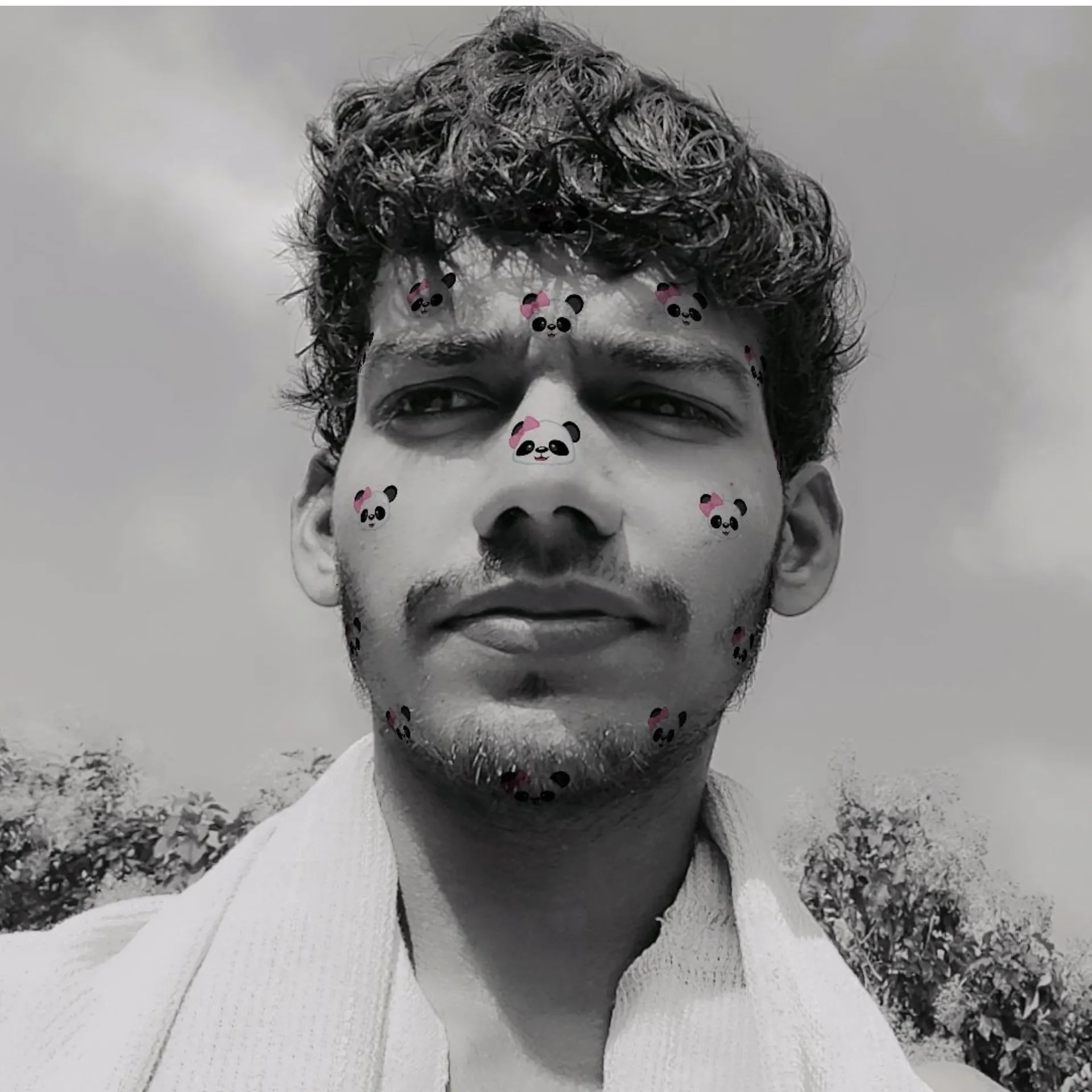 Arpit Chauhan