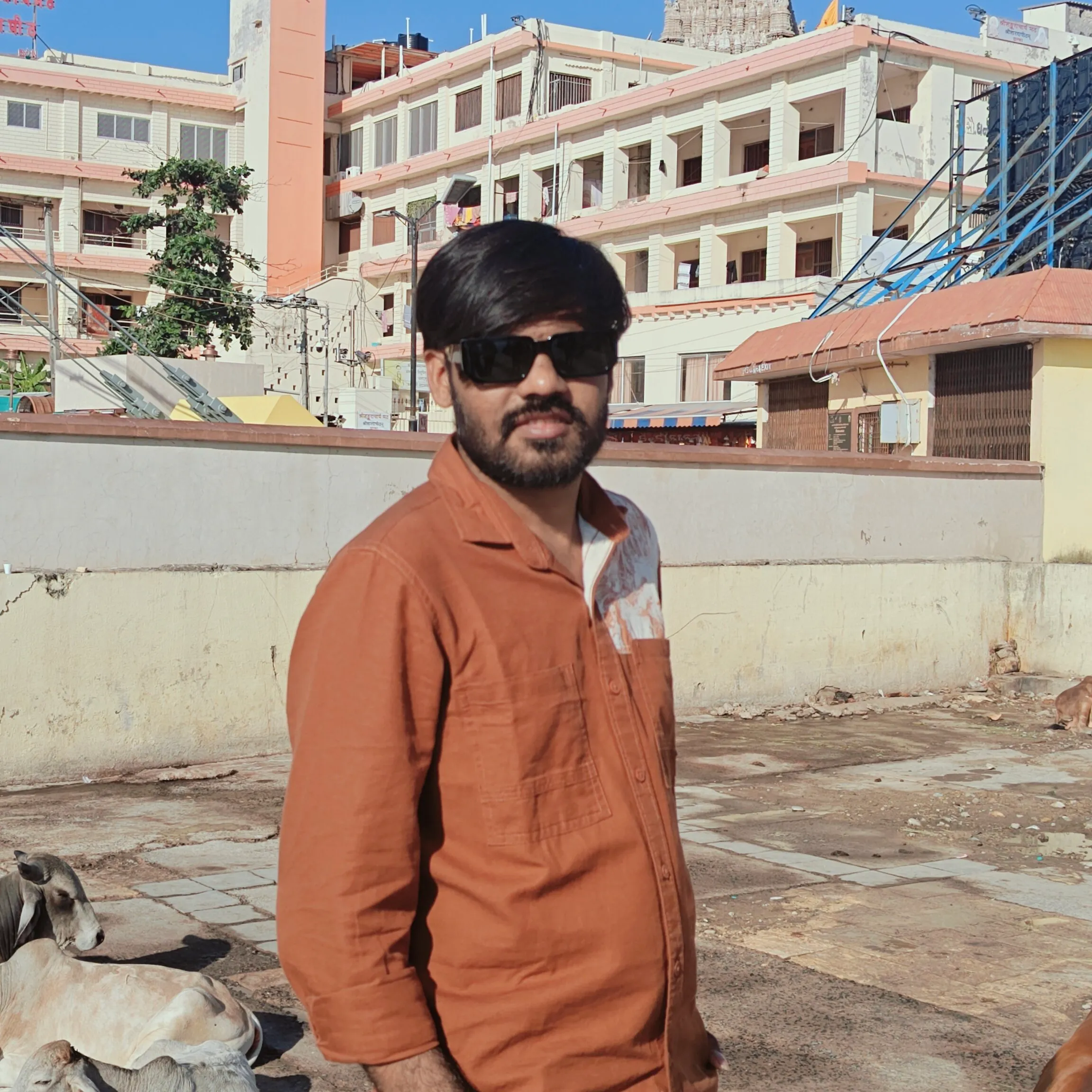 vijay Dhandhukiya