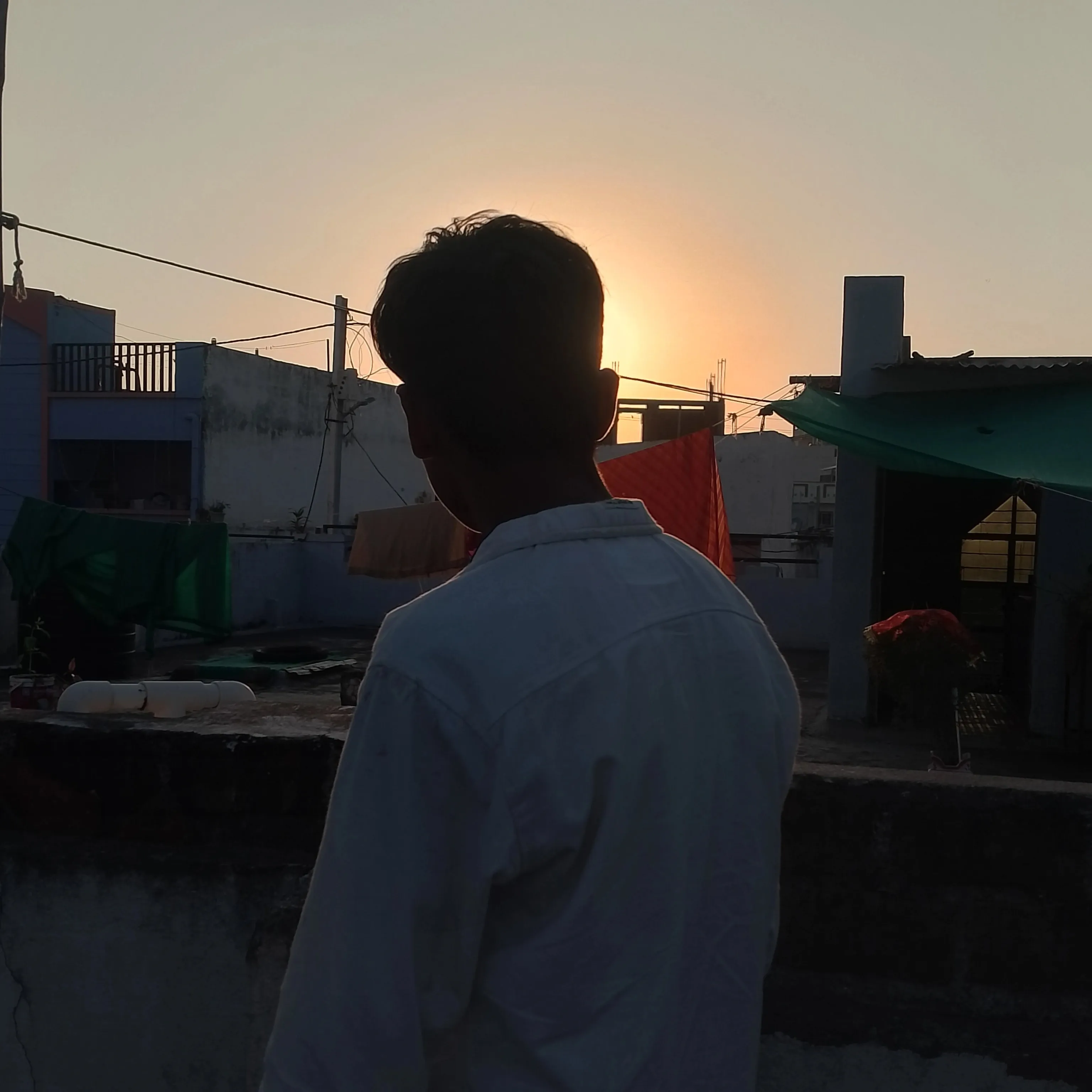 Ravi waskle