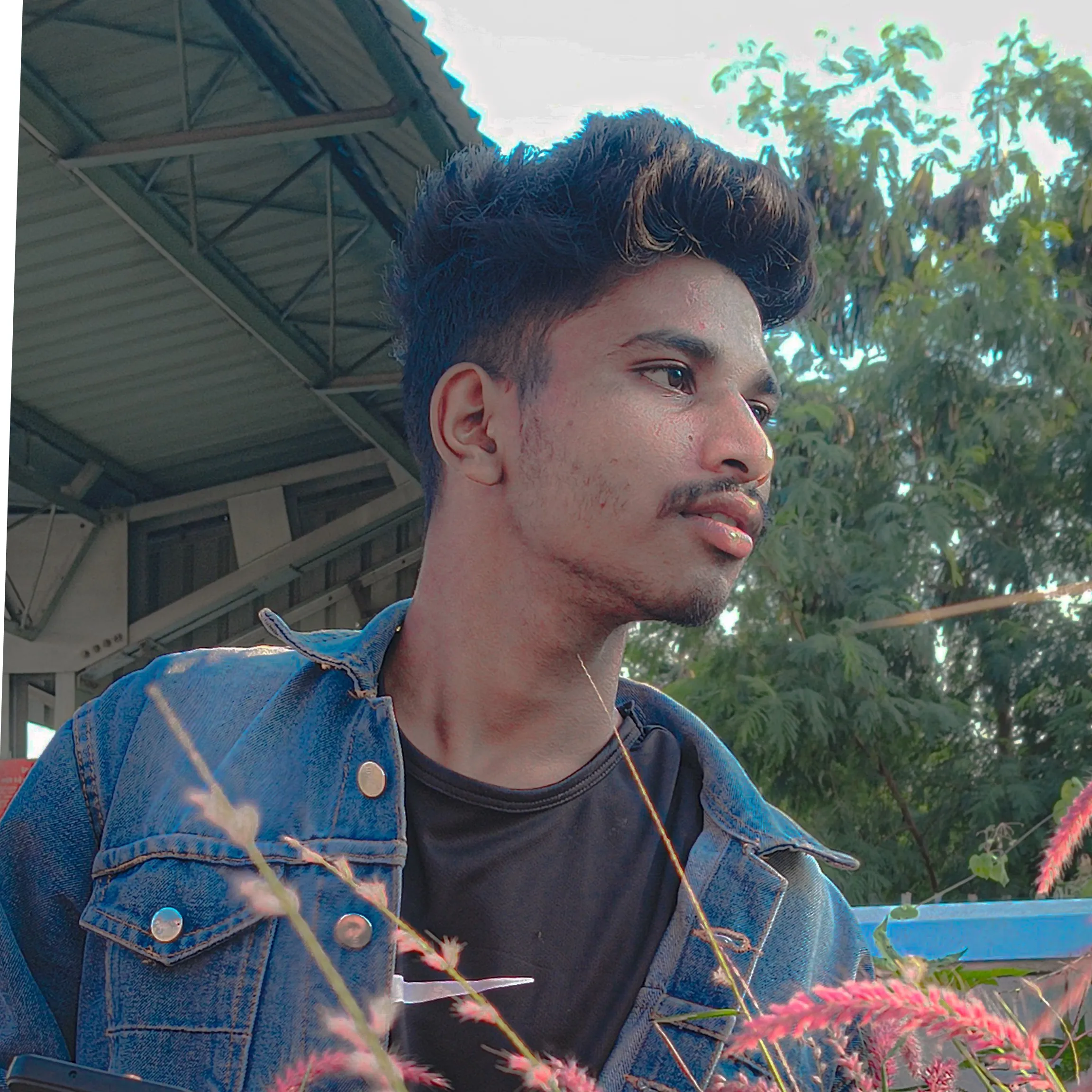 sxft.heart._ o