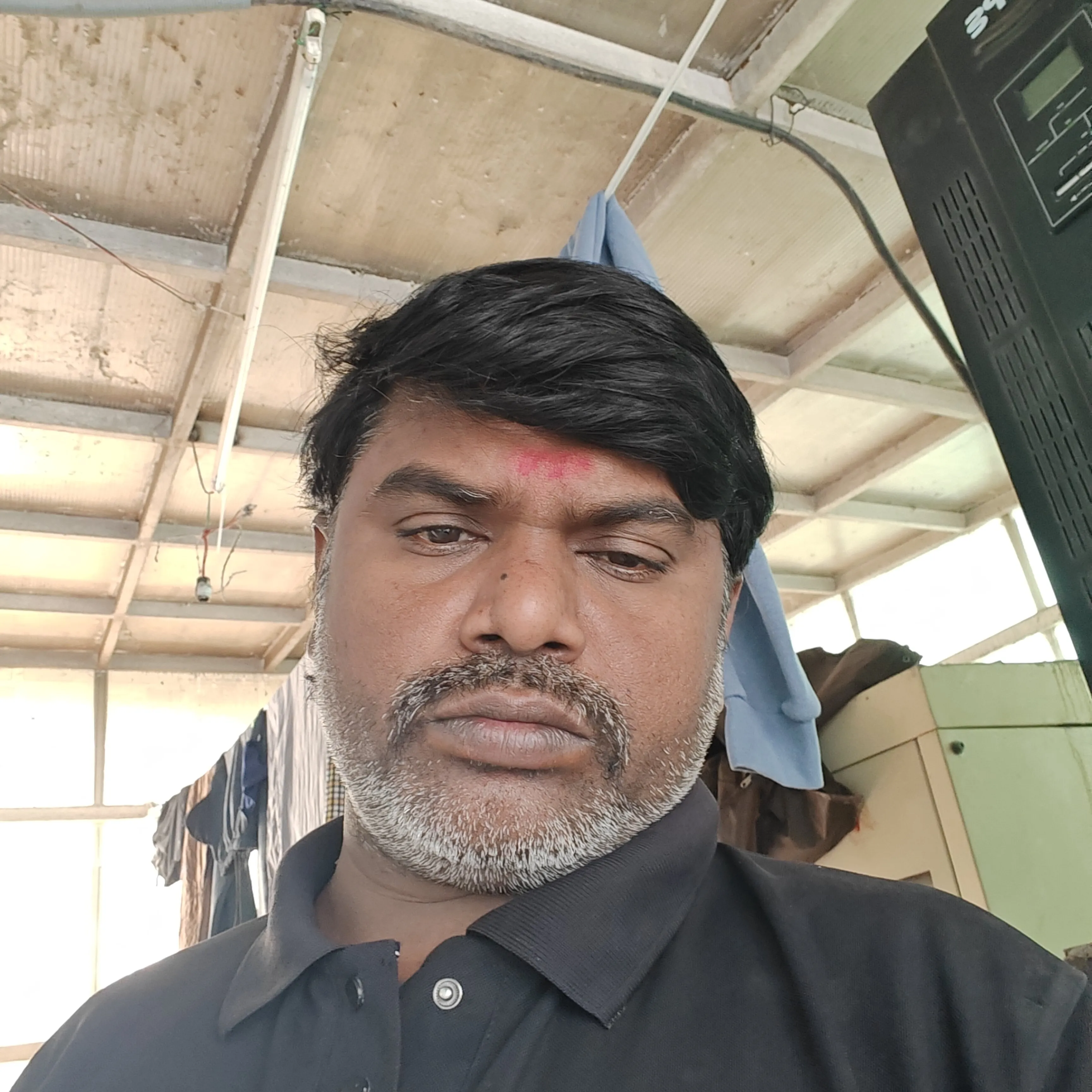 Mr bandhi