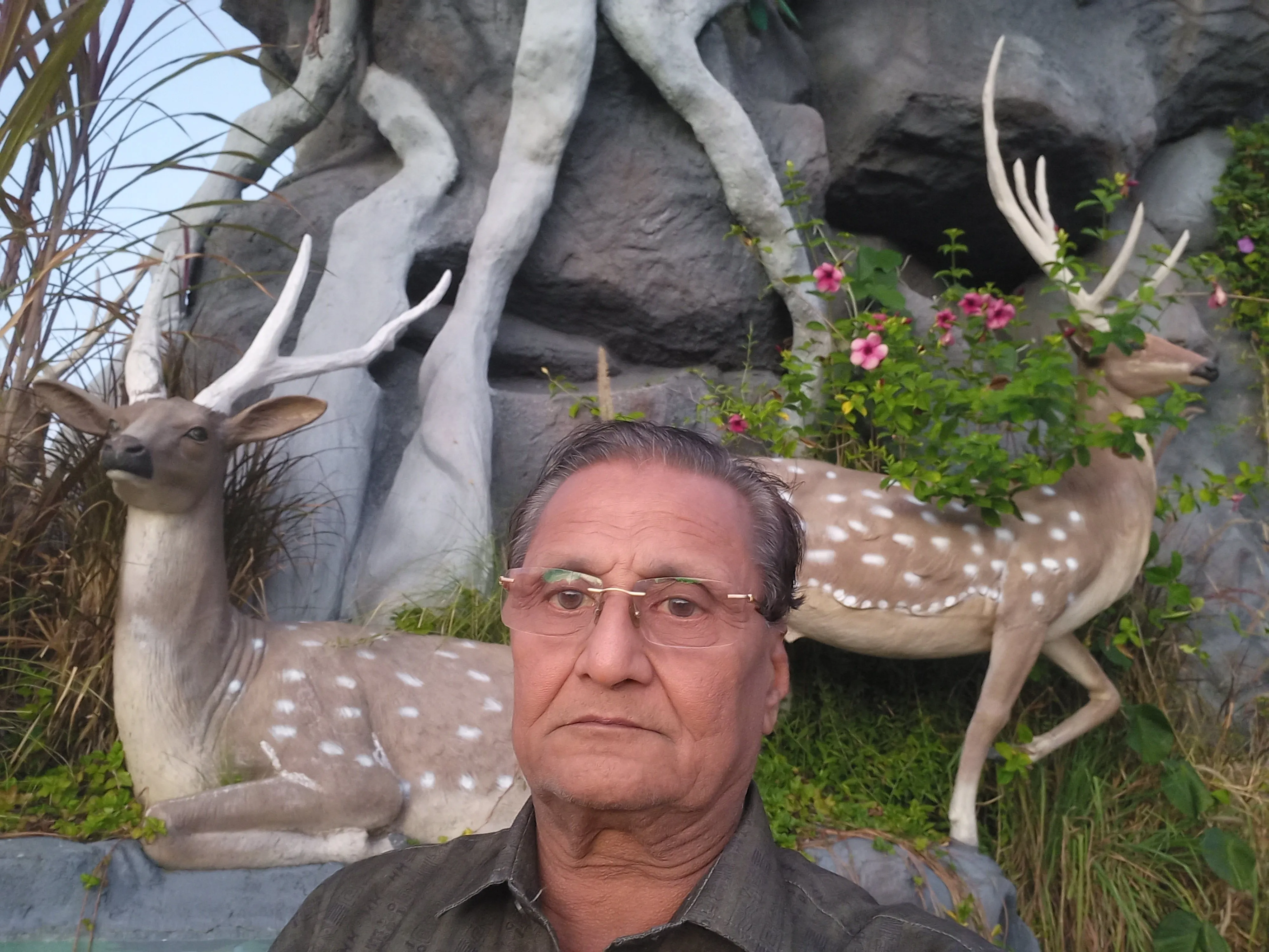 sunil Bajaj