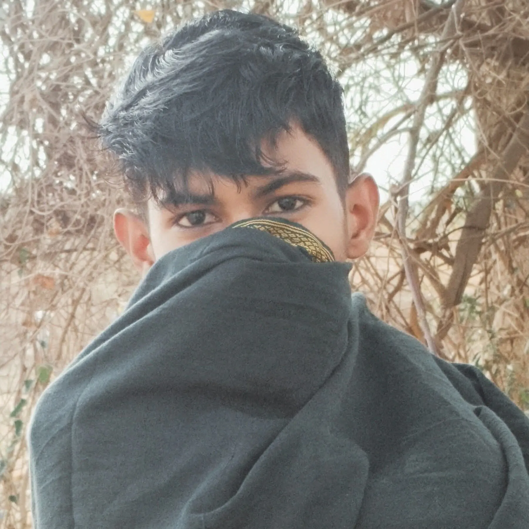 Ayan Ayan